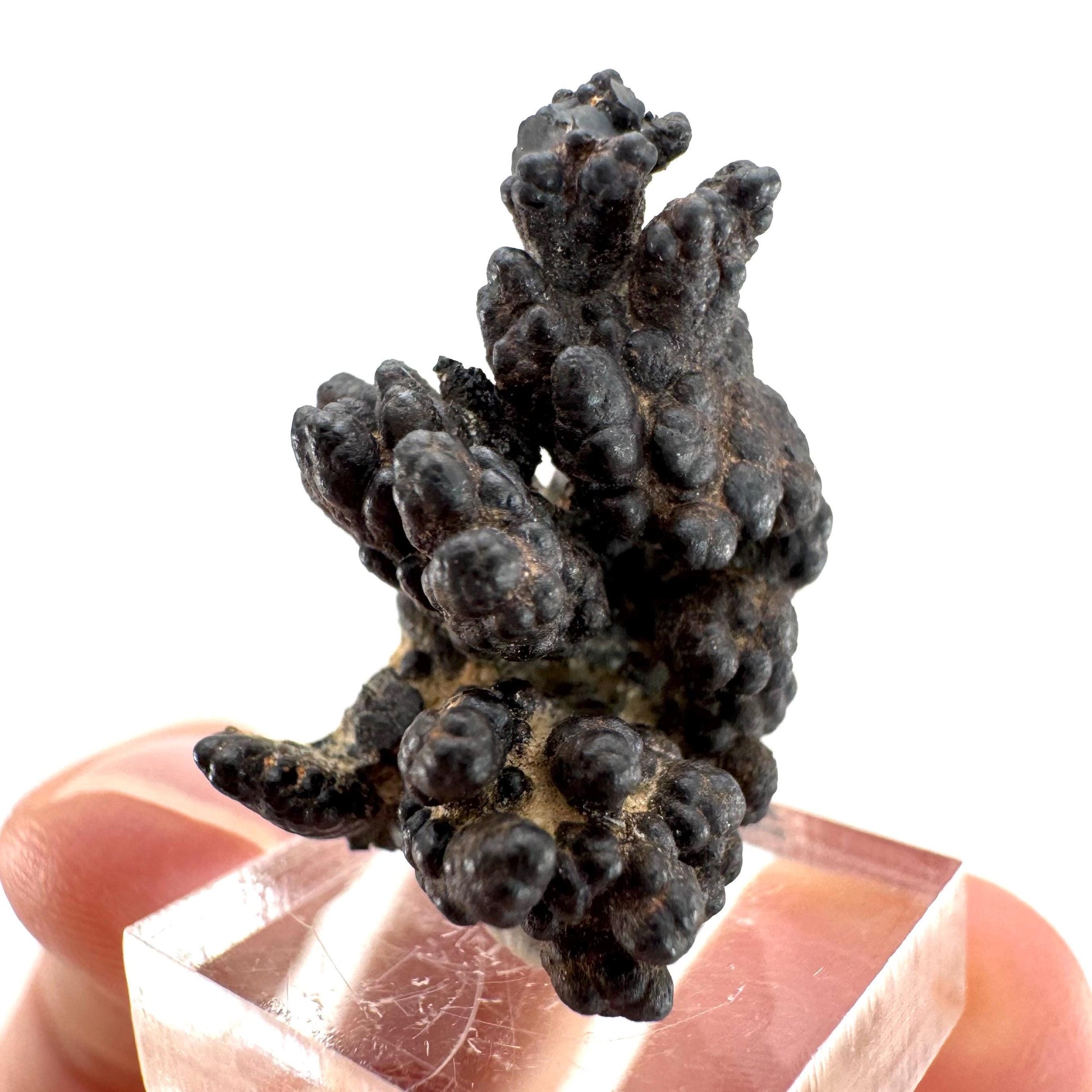 Botryoidal Goethite | natural mineral specimen, raw crystal (Namibia)