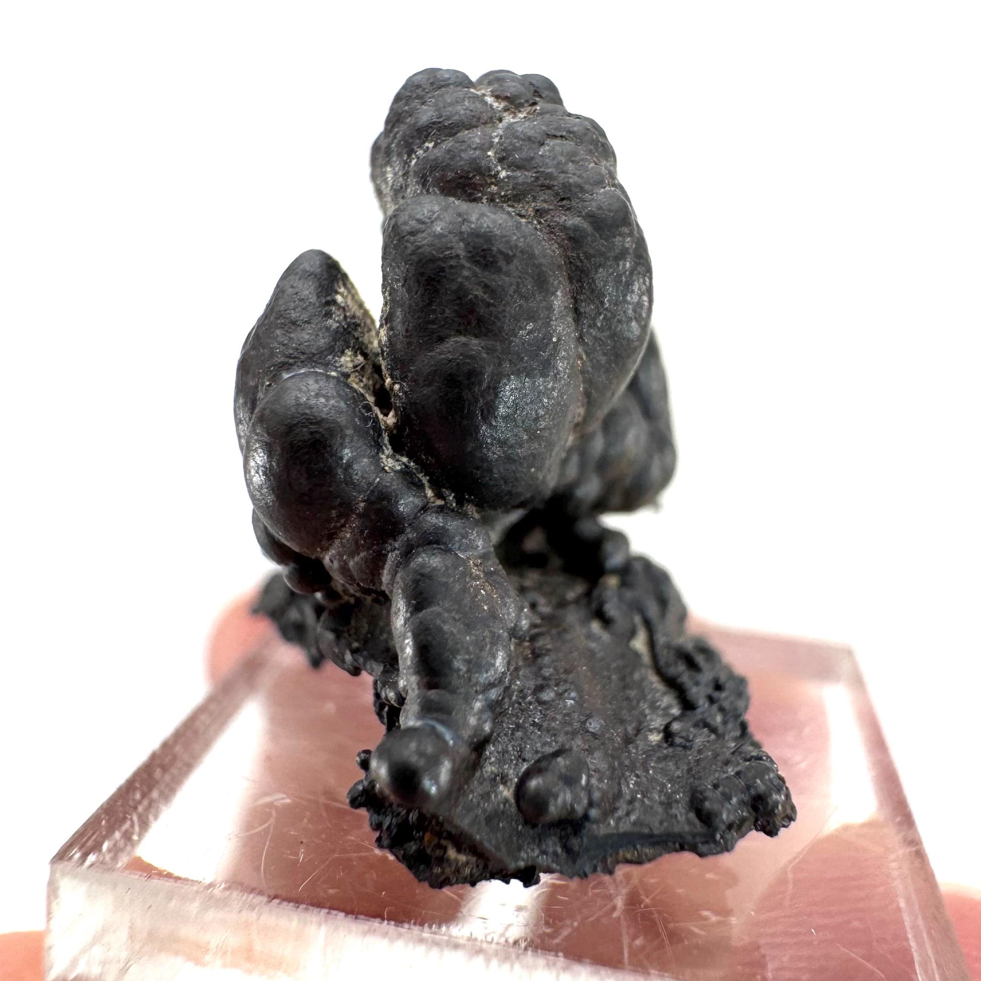 Botryoidal Goethite | natural mineral specimen, raw crystal (Namibia)