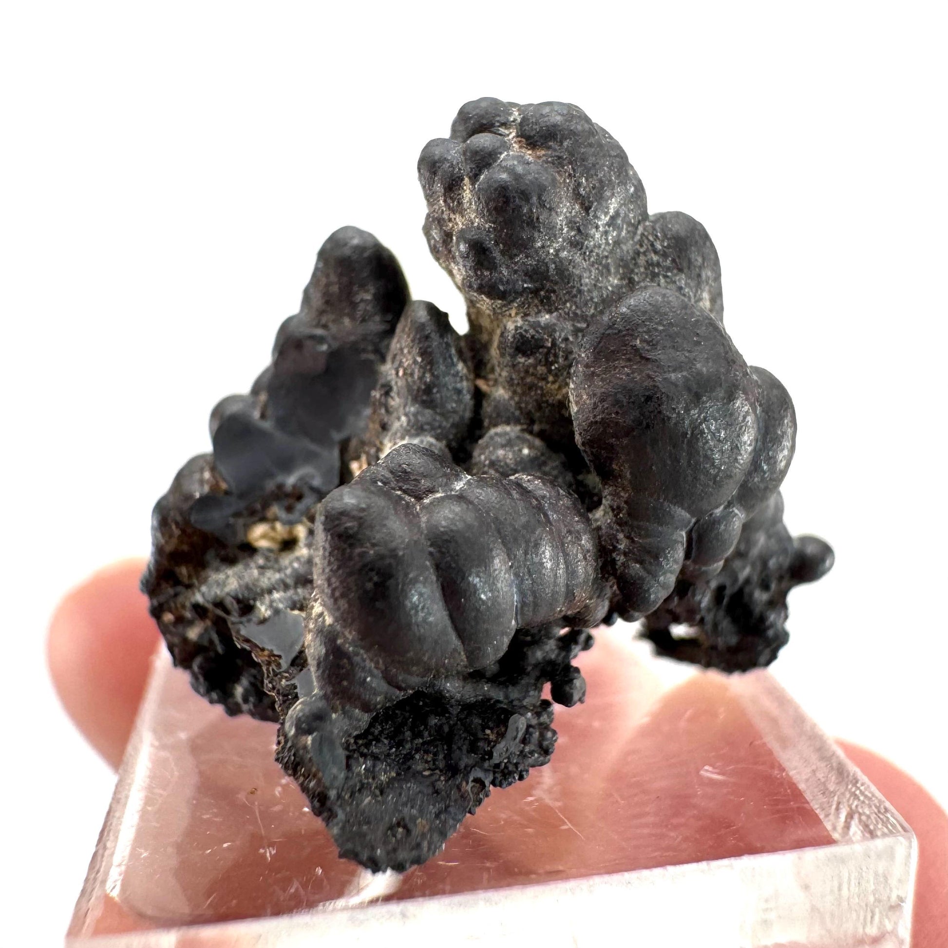 Botryoidal Goethite | natural mineral specimen, raw crystal (Namibia)