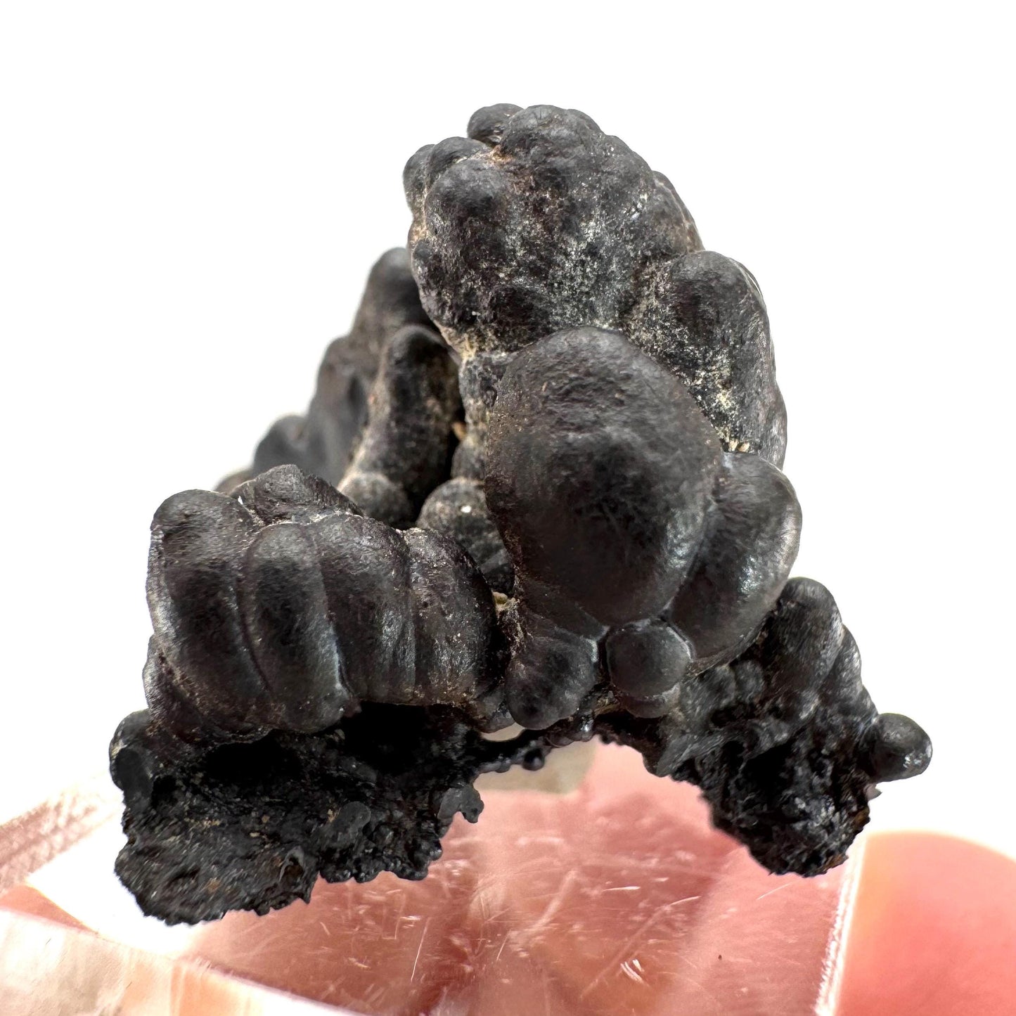 Botryoidal Goethite | natural mineral specimen, raw crystal (Namibia)
