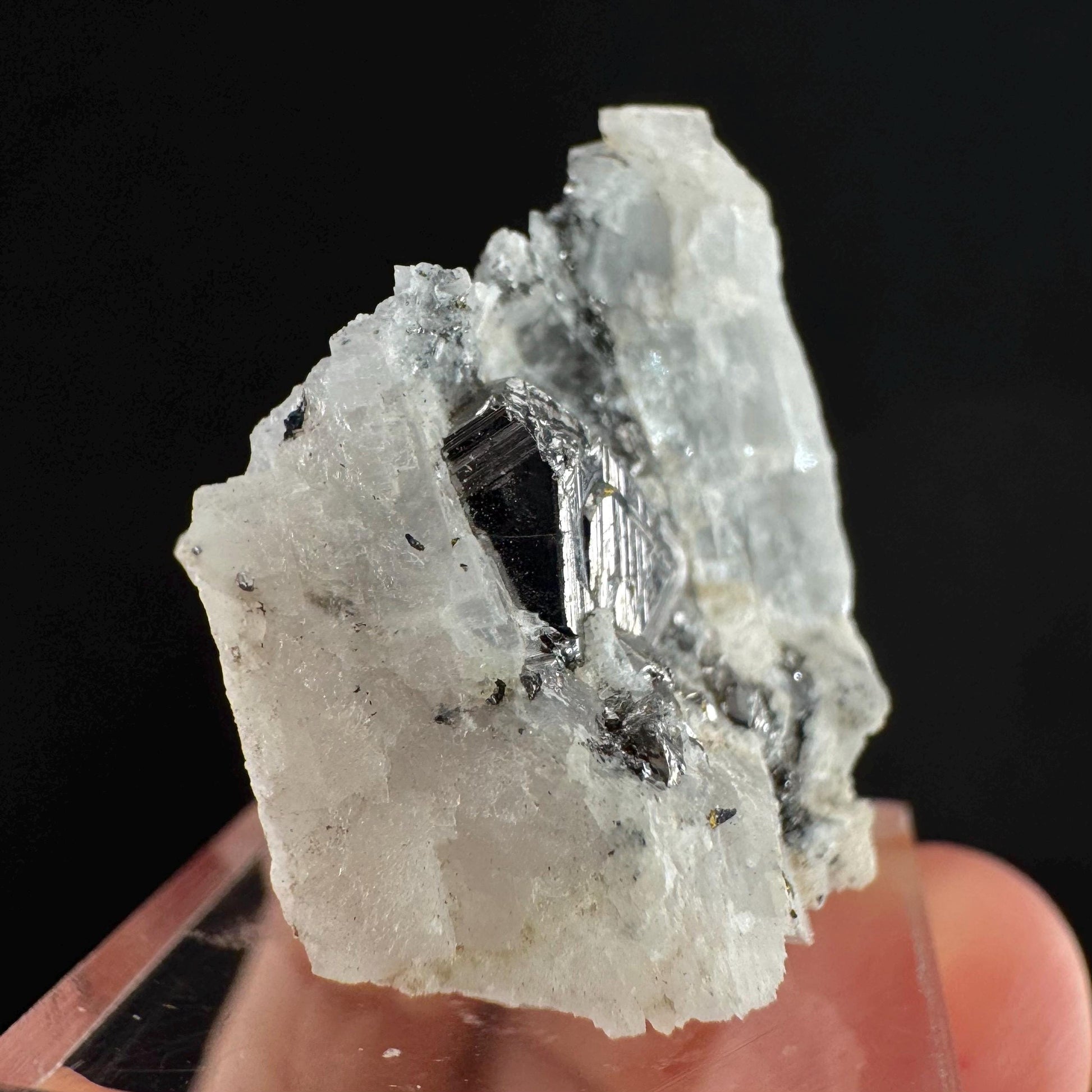 Rare! Carrollite on Calcite | raw natural crystal cluster, metallic mineral specimen