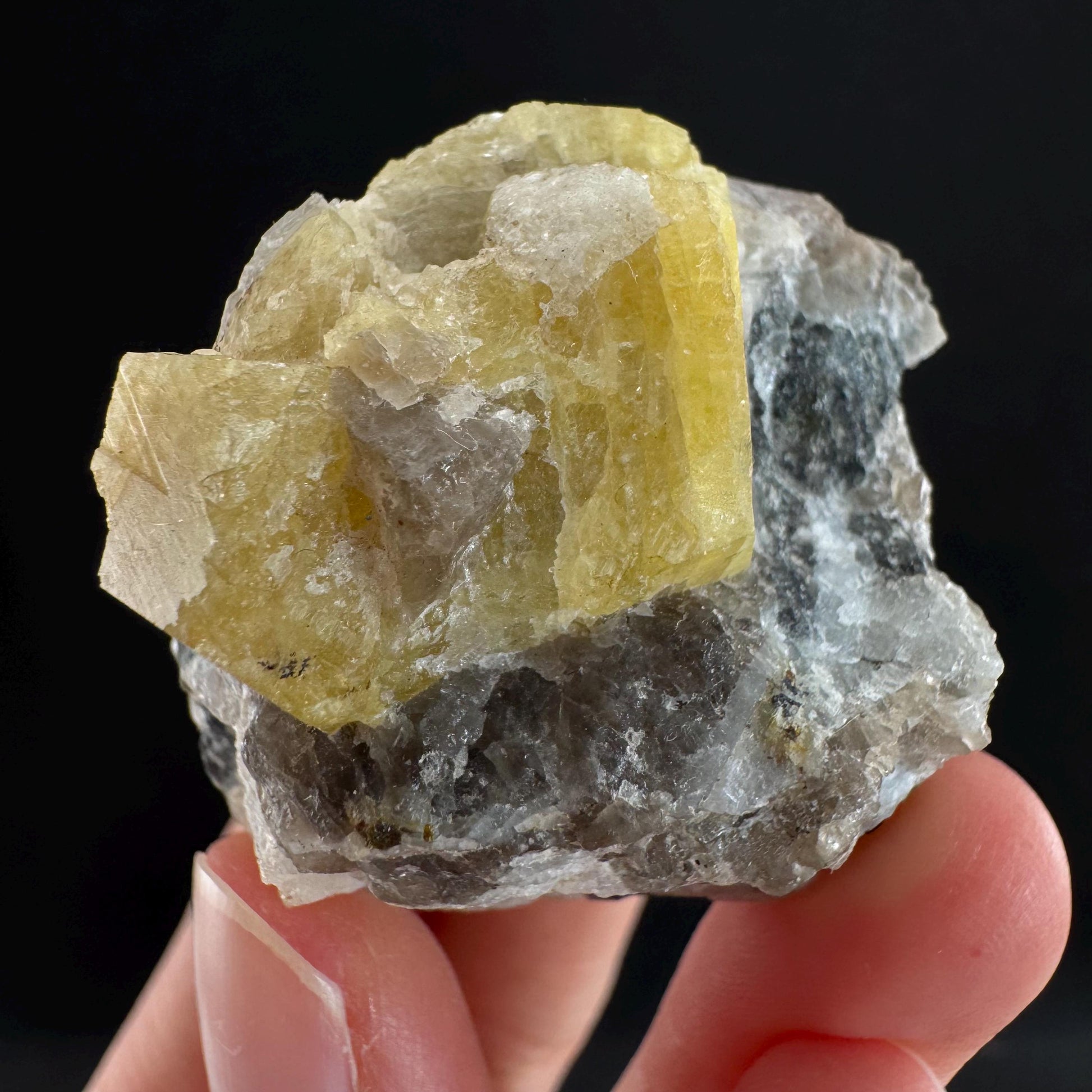 Rare! Londonite on Matrix | natural crystal cluster, raw yellow mineral (Madagascar)
