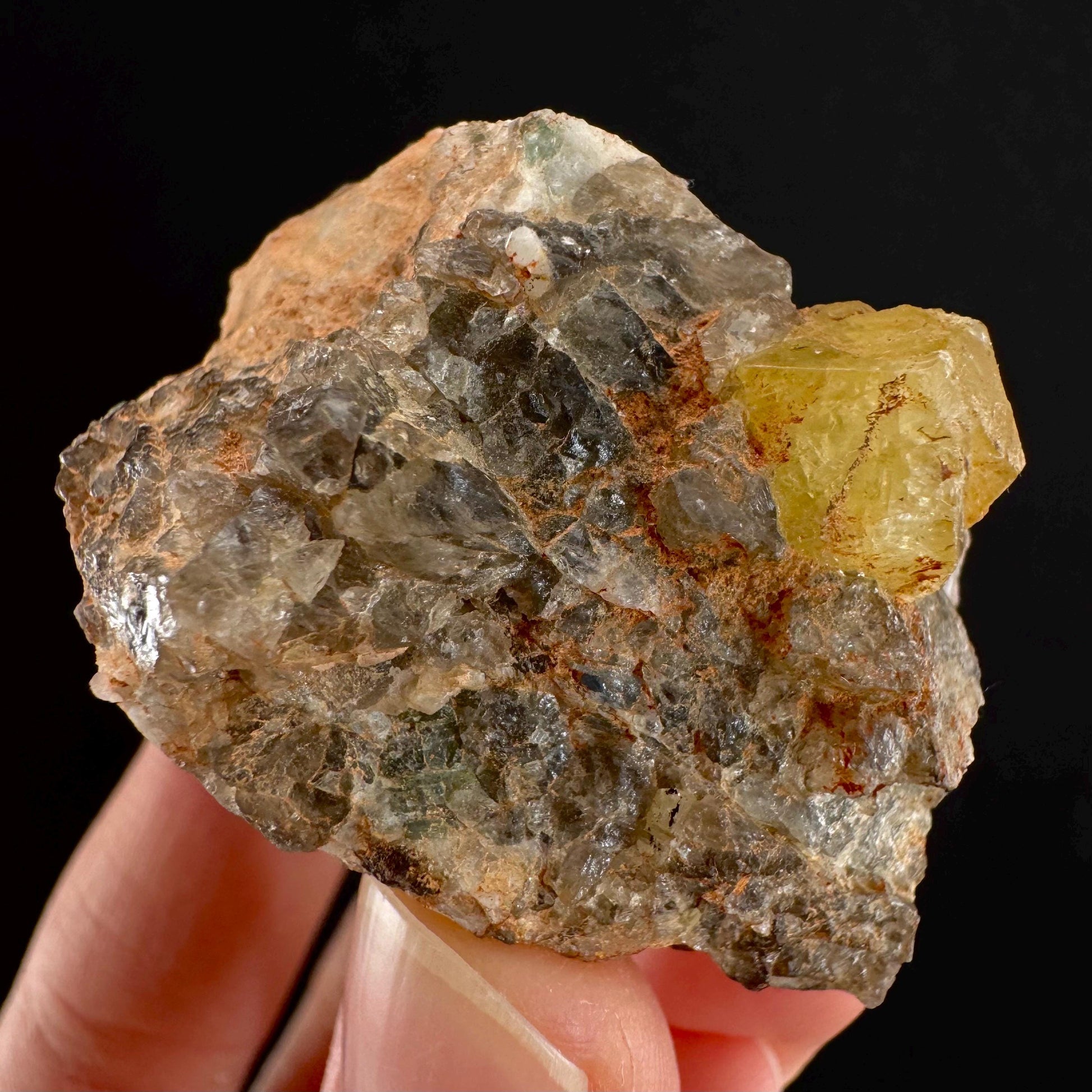 Rare! Londonite on Matrix | natural crystal cluster, raw yellow mineral (Madagascar)