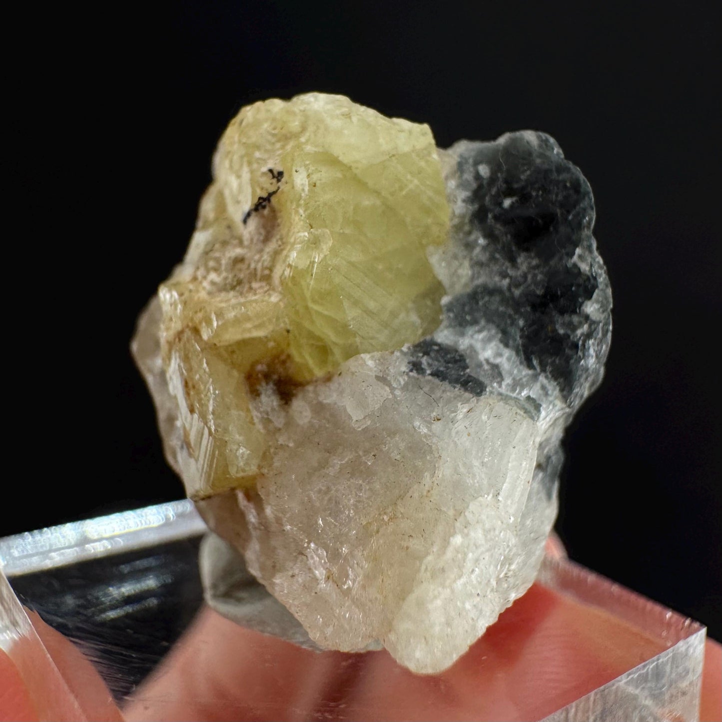 Rare! Londonite on Matrix | natural crystal cluster, raw yellow mineral (Madagascar)