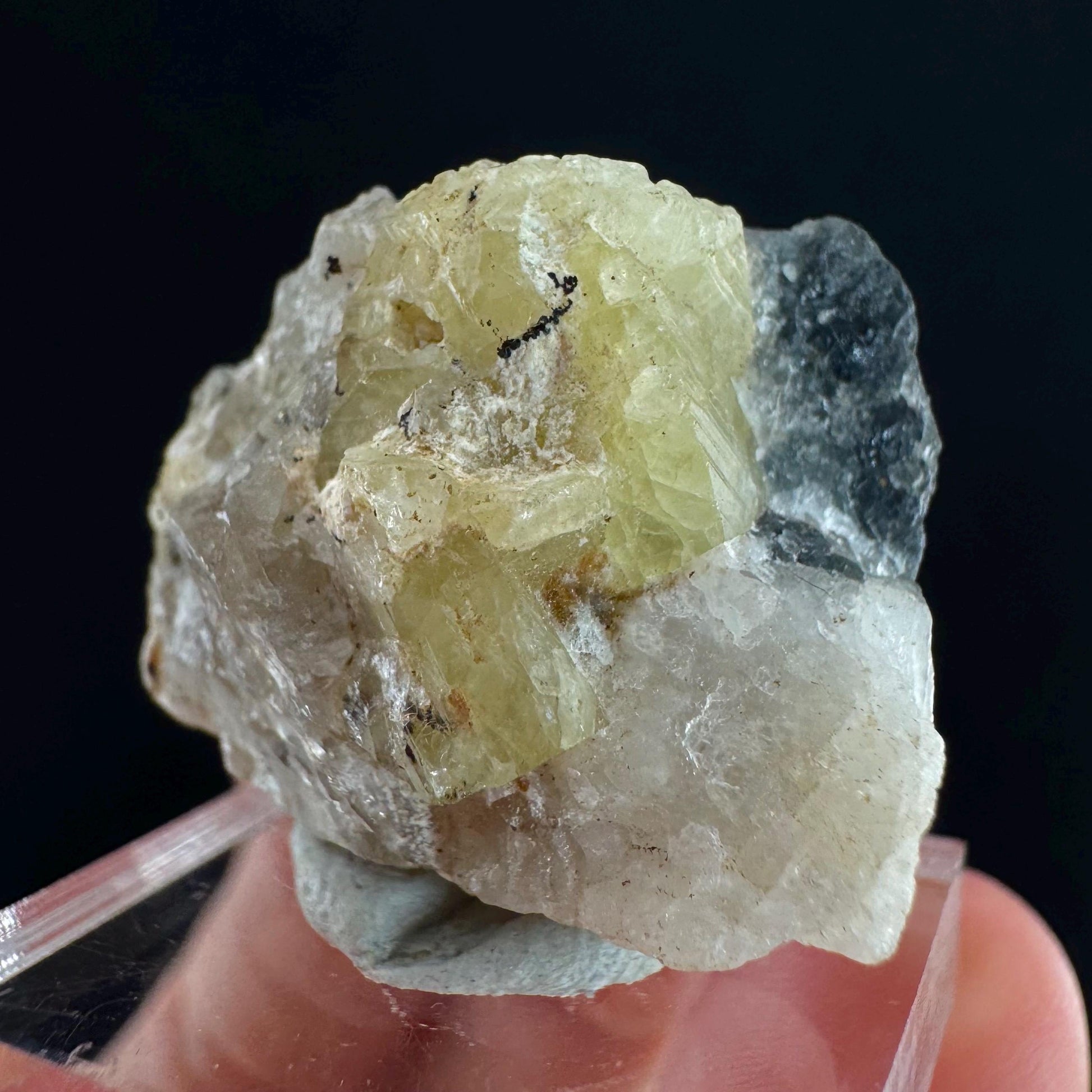 Rare! Londonite on Matrix | natural crystal cluster, raw yellow mineral (Madagascar)