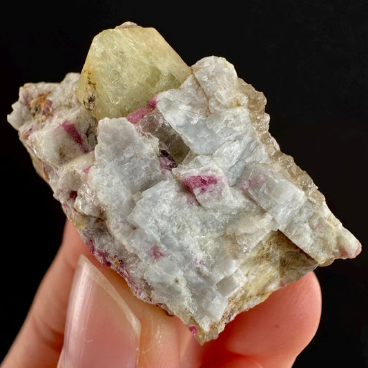 Rare! Londonite with Liddicoatite | natural crystal cluster, raw mineral specimen (Madagascar)