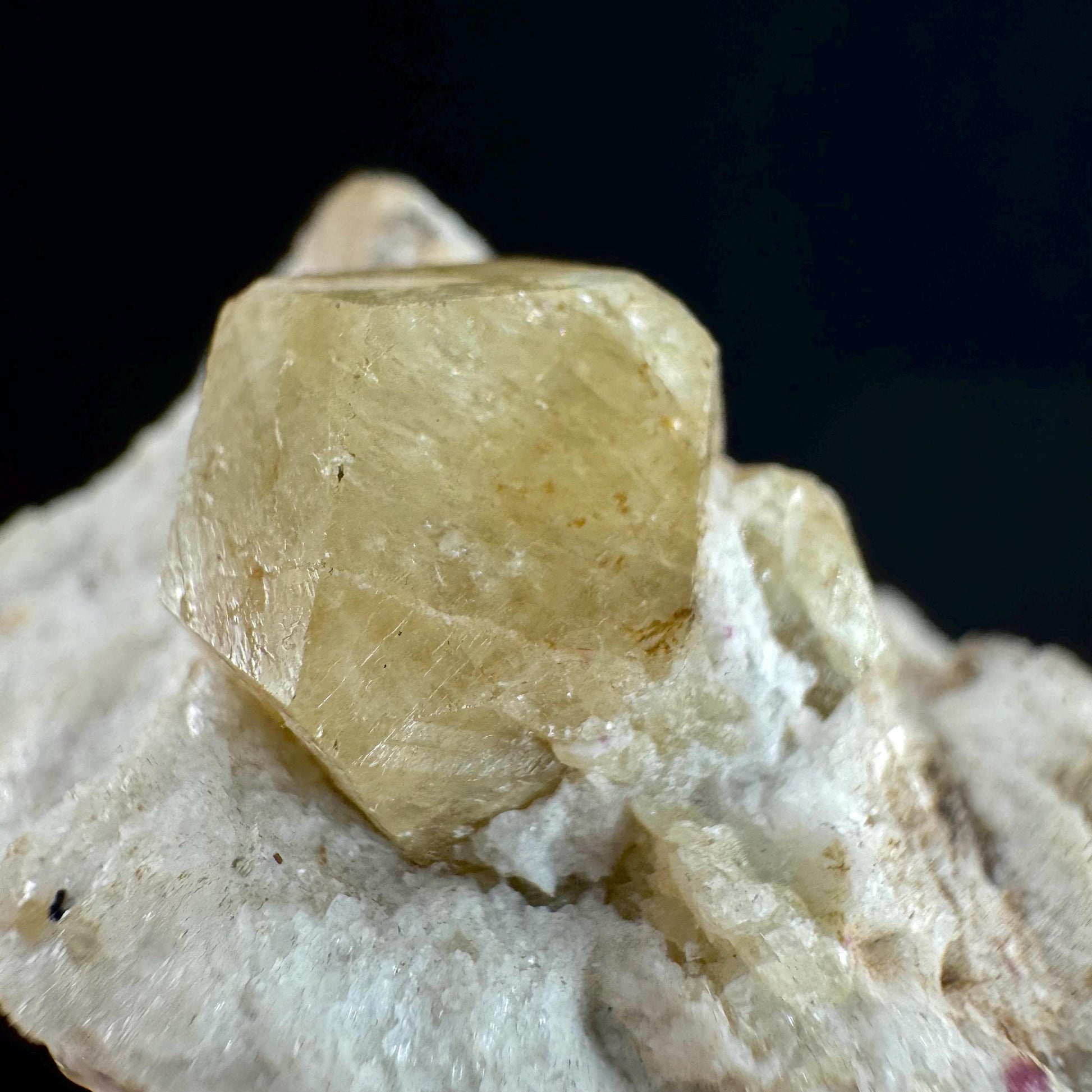 Rare! Londonite with Liddicoatite | natural crystal cluster, raw mineral specimen (Madagascar)