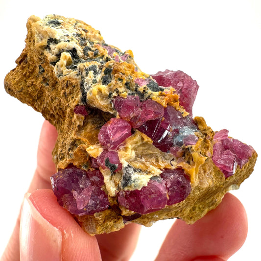 Ruby & Blue Kyanite on Matrix | genuine raw red ruby crystal, natural mineral specimen
