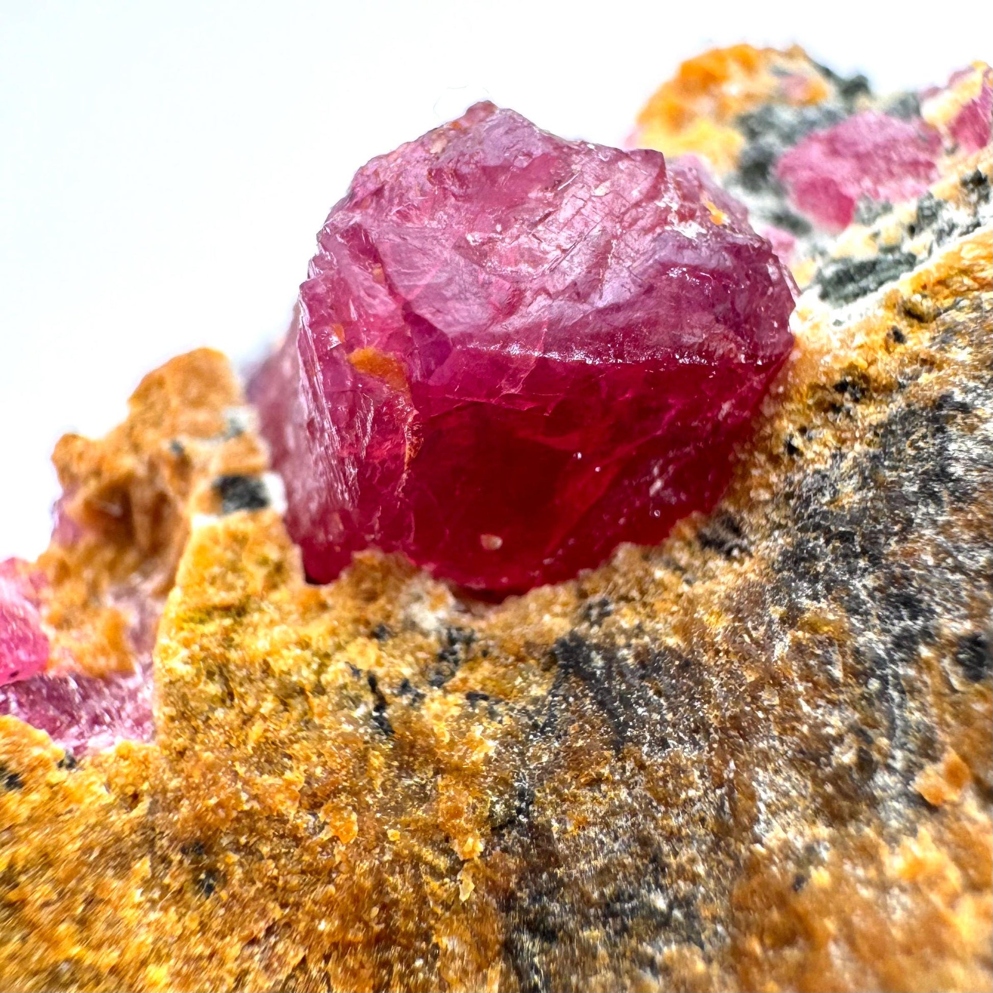 Ruby & Blue Kyanite on Matrix | genuine raw red ruby crystal, natural mineral specimen