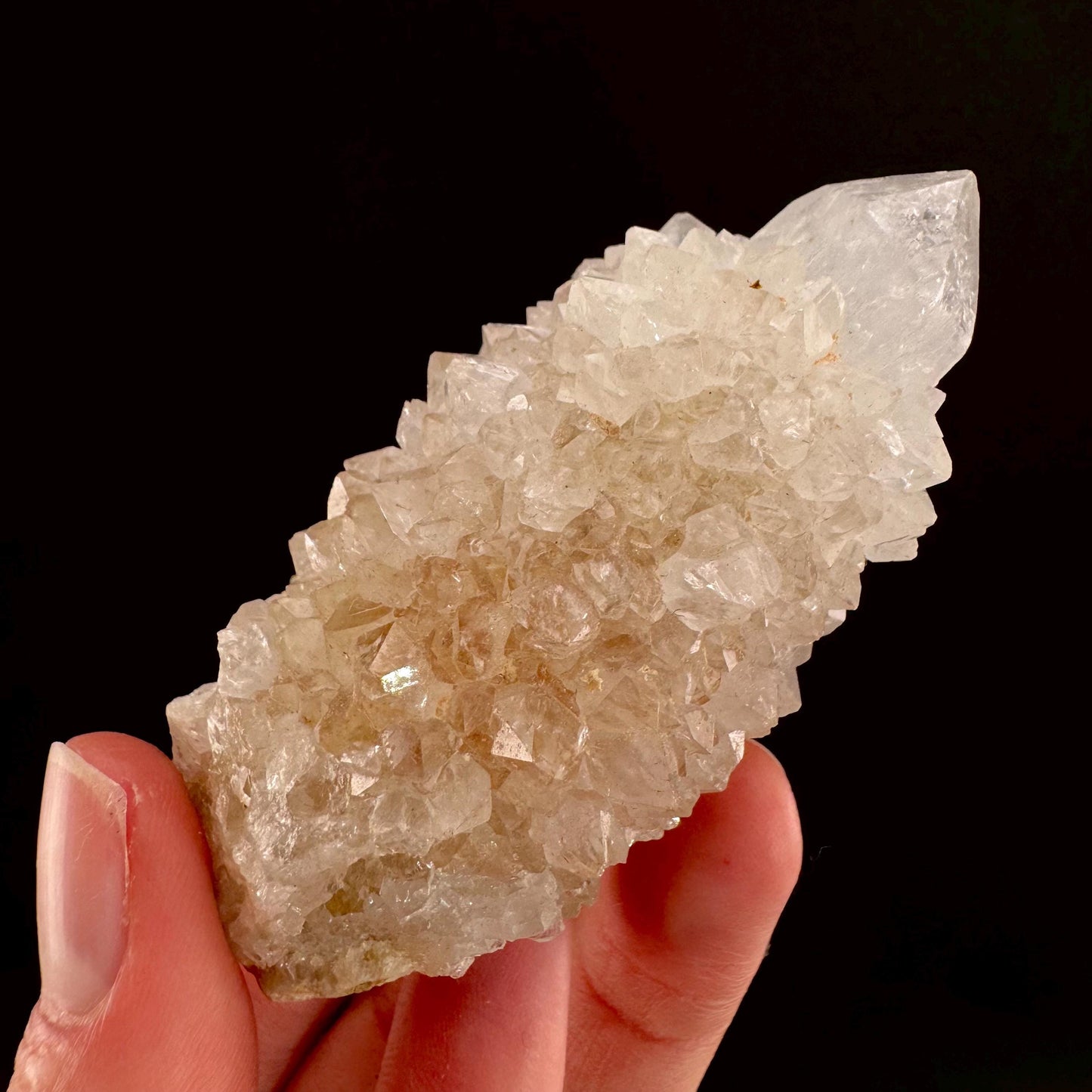Spirit Quartz Crystal | raw natural cactus quartz, mineral specimen
