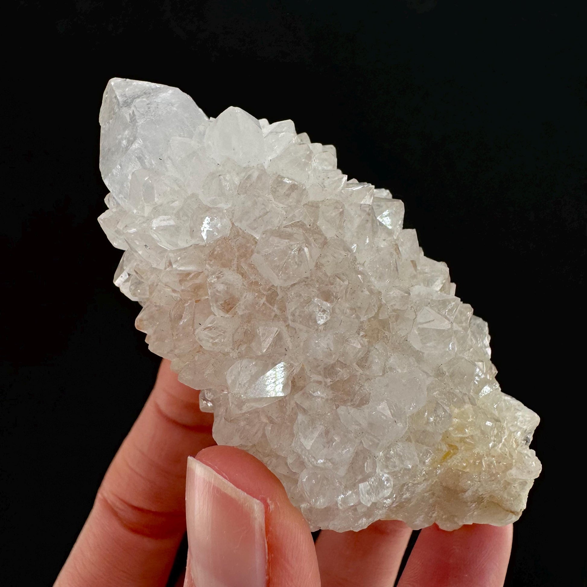 Spirit Quartz Crystal | raw natural cactus quartz, mineral specimen