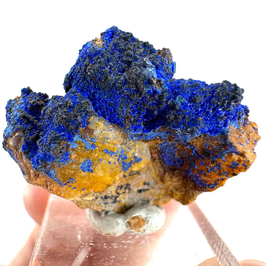 Azurite | natural blue crystal cluster, raw mineral specimen from Morocco
