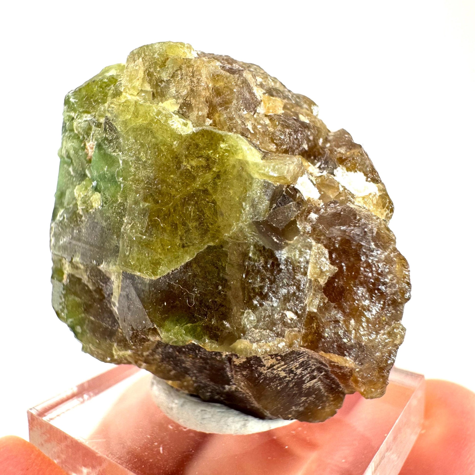 Andradite-Grossular Garnet | natural green crystal, raw mineral specimen from Mali
