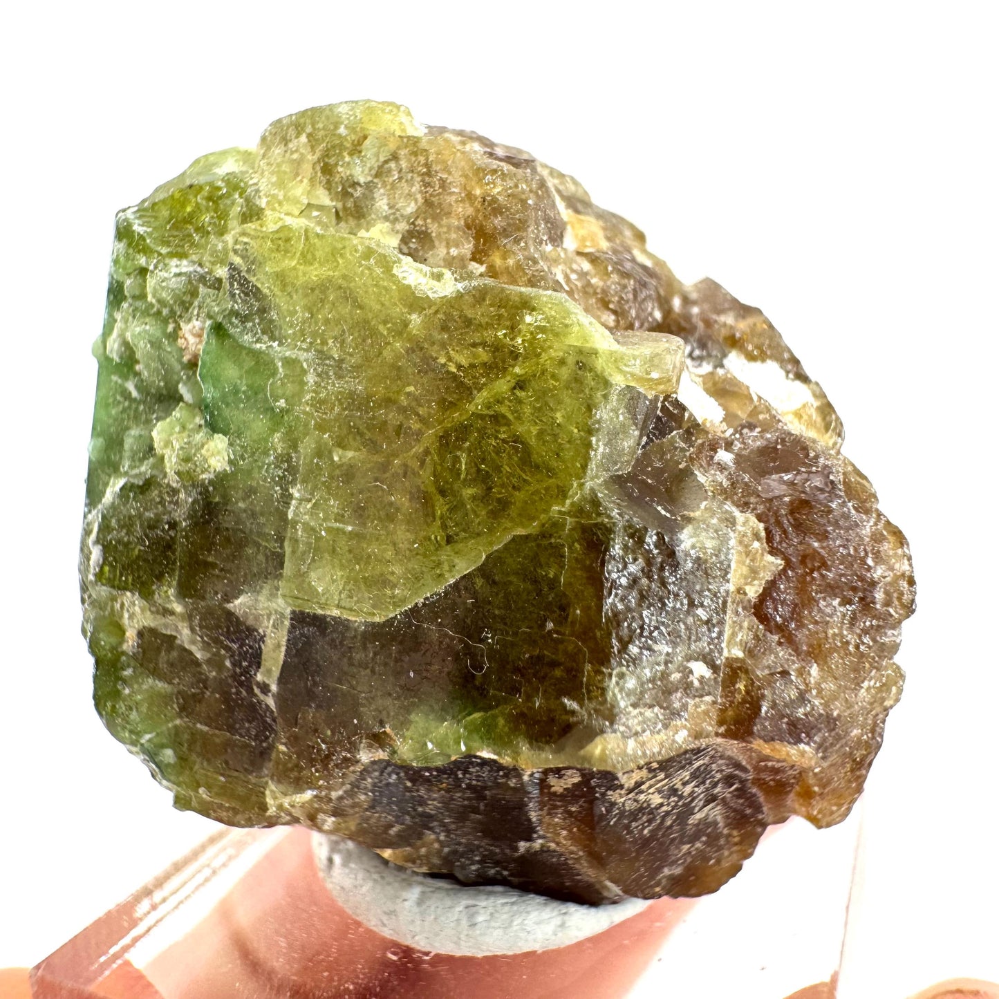 Andradite-Grossular Garnet | natural green crystal, raw mineral specimen from Mali