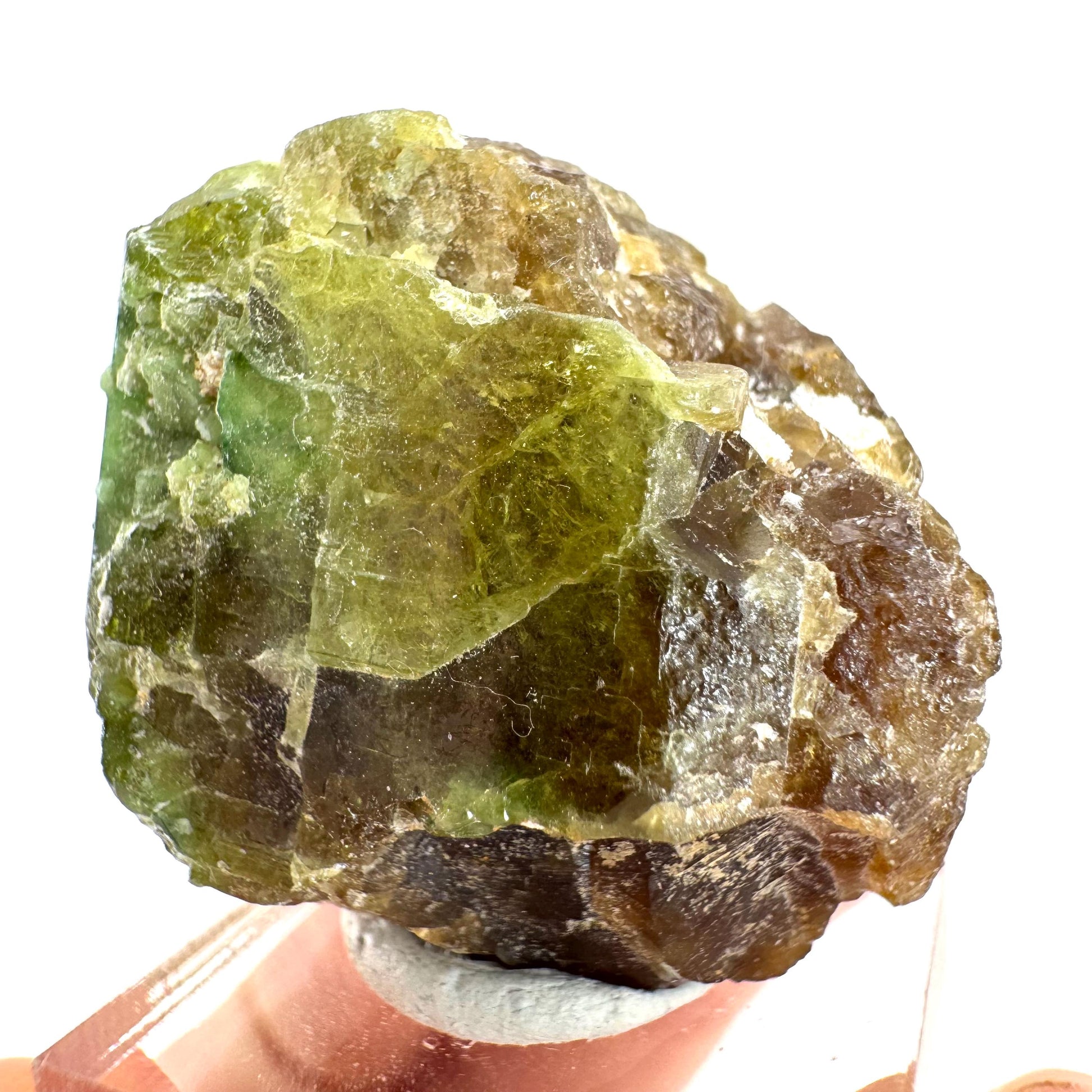 Andradite-Grossular Garnet | natural green crystal, raw mineral specimen from Mali