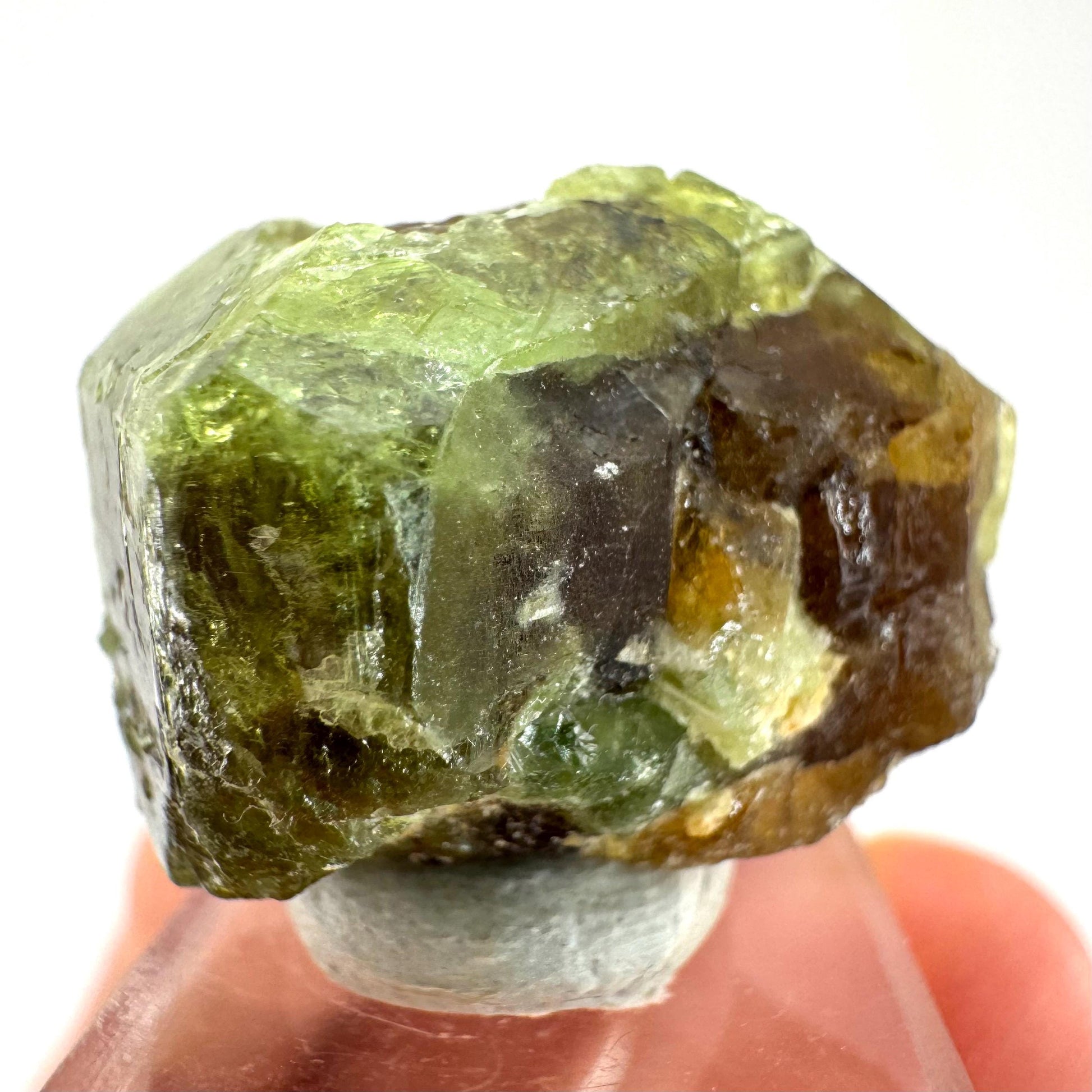 Andradite-Grossular Garnet | natural green crystal, raw mineral specimen from Mali