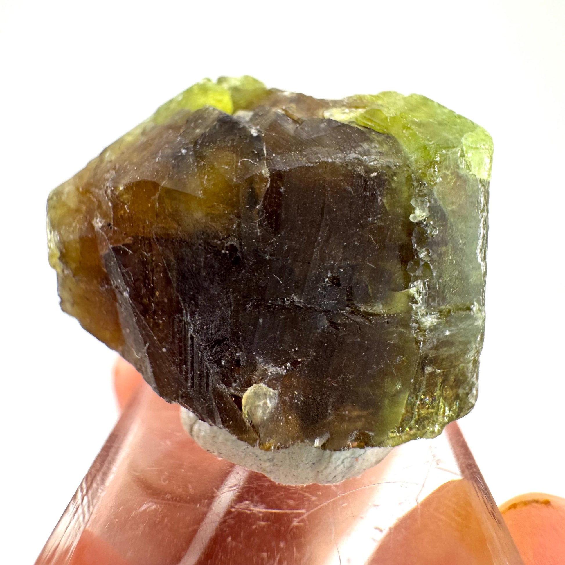 Andradite-Grossular Garnet | natural green crystal, raw mineral specimen from Mali
