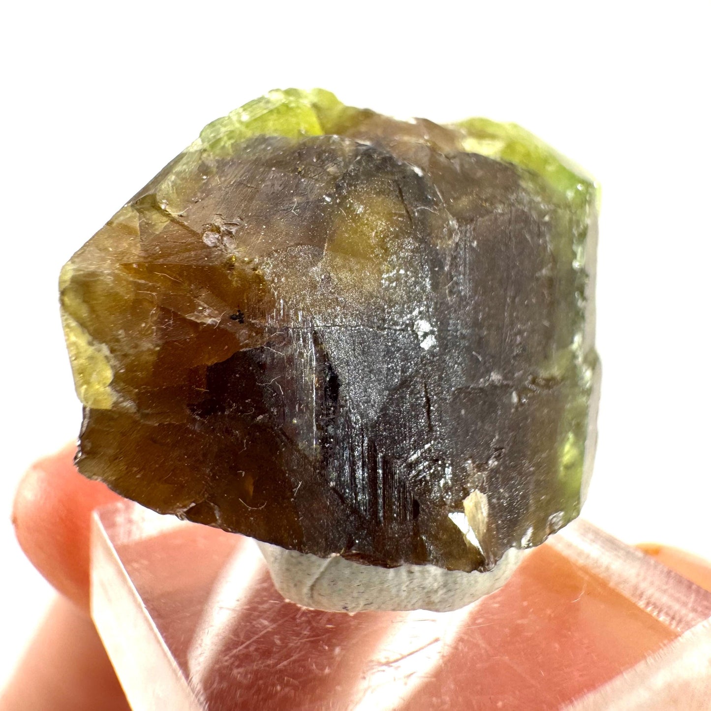Andradite-Grossular Garnet | natural green crystal, raw mineral specimen from Mali