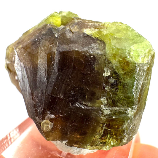 Andradite-Grossular Garnet | natural green crystal, raw mineral specimen from Mali