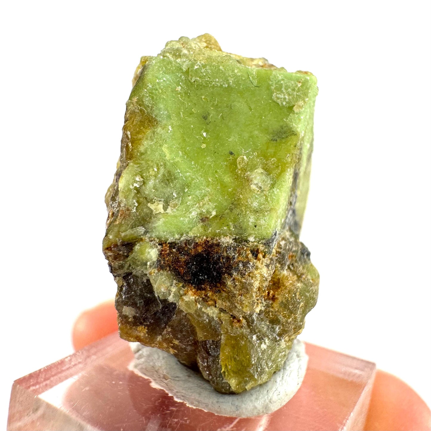 Andradite-Grossular Garnet | natural green crystal, raw mineral specimen from Mali
