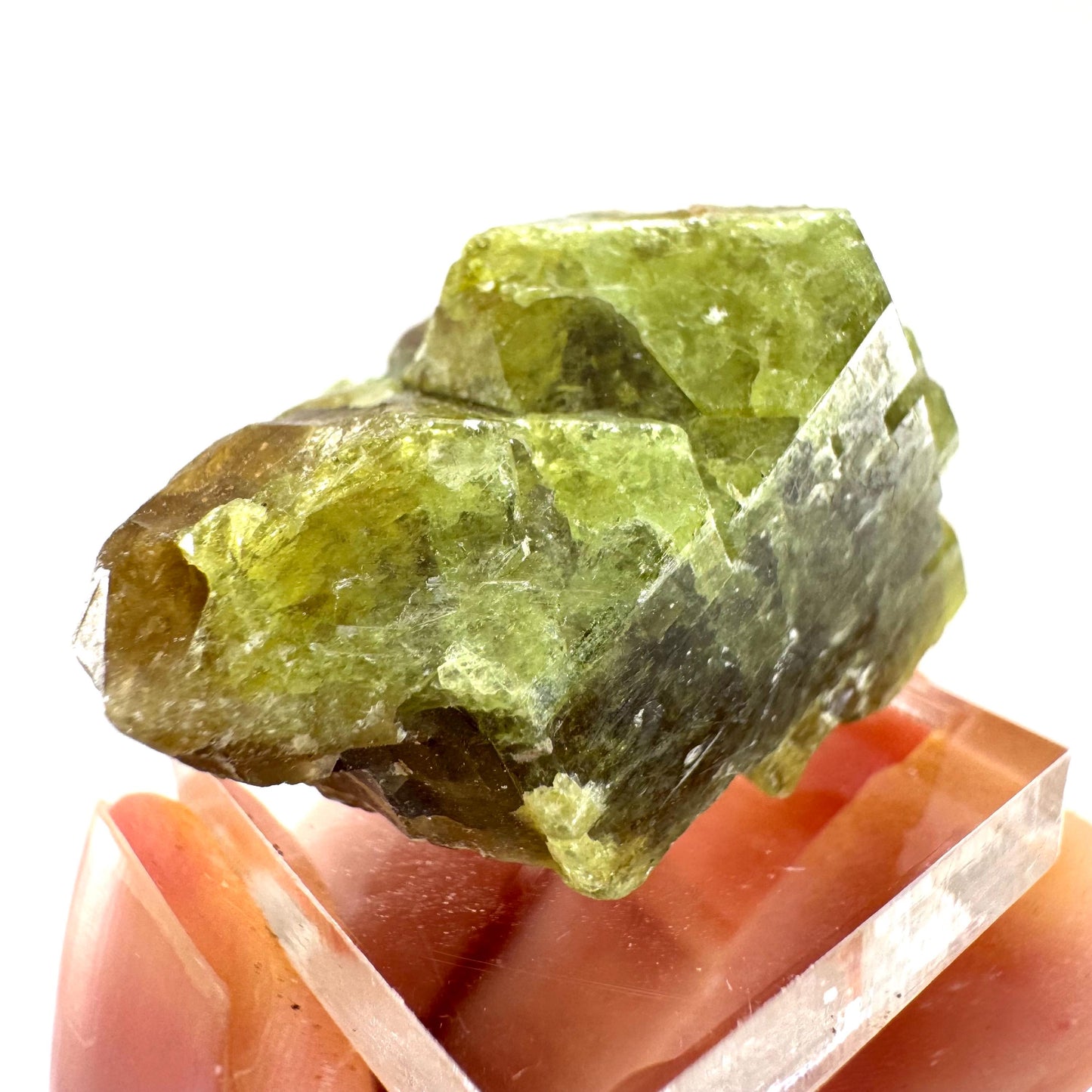 Andradite-Grossular Garnet | natural green crystal, raw mineral specimen from Mali