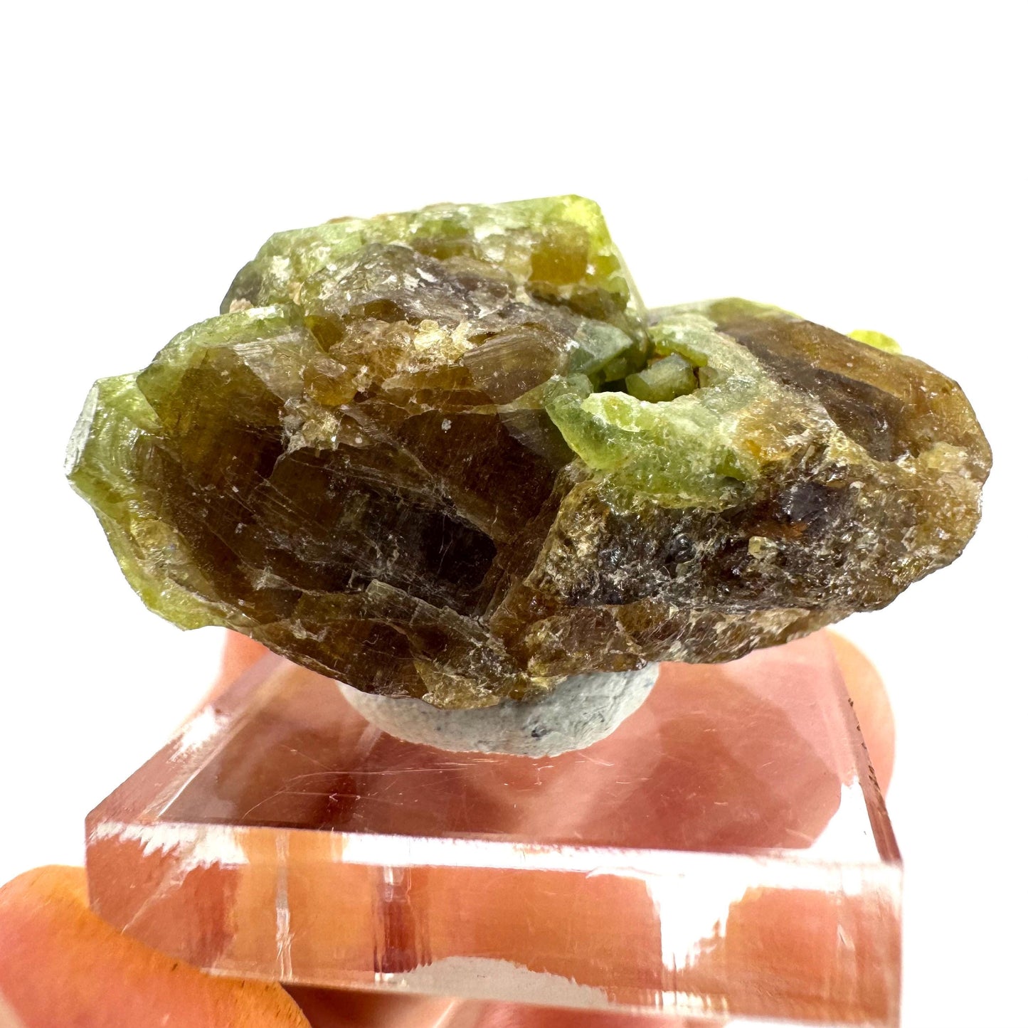 Andradite-Grossular Garnet | natural green crystal, raw mineral specimen from Mali