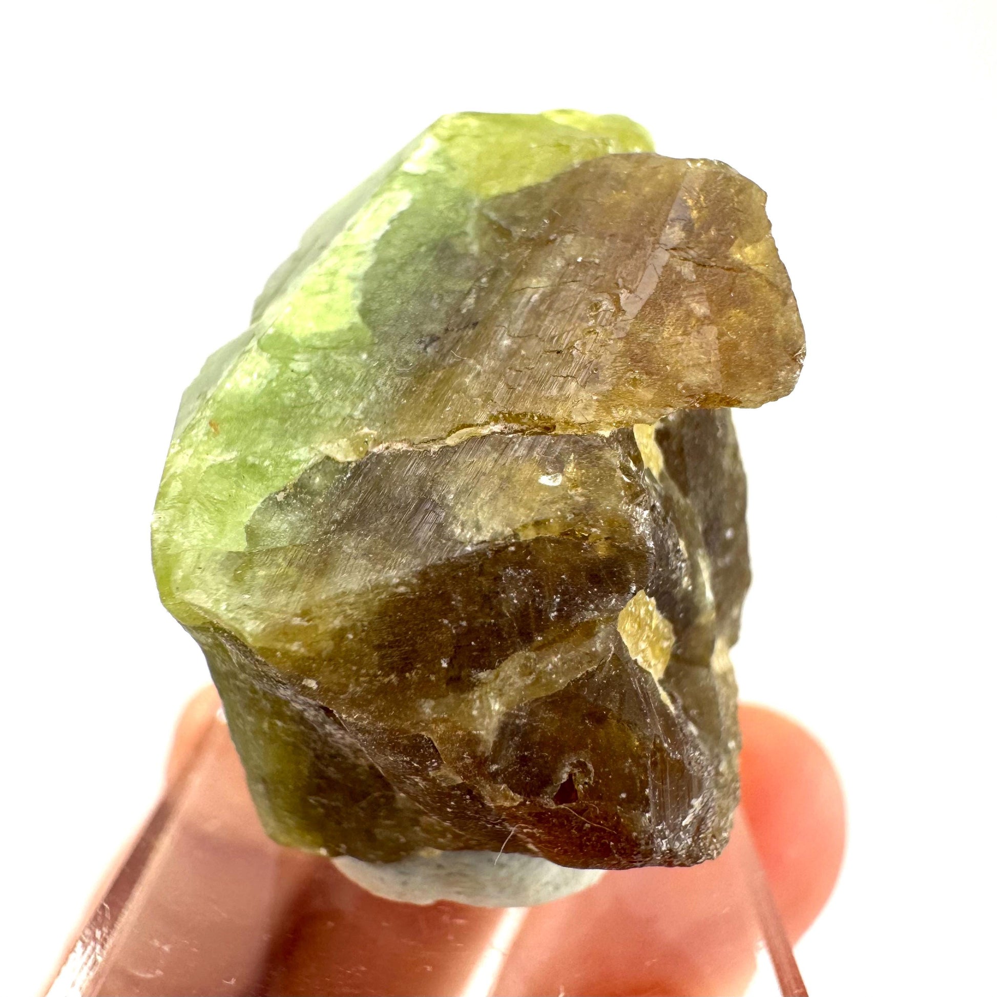 Andradite-Grossular Garnet | natural green crystal, raw mineral specimen from Mali