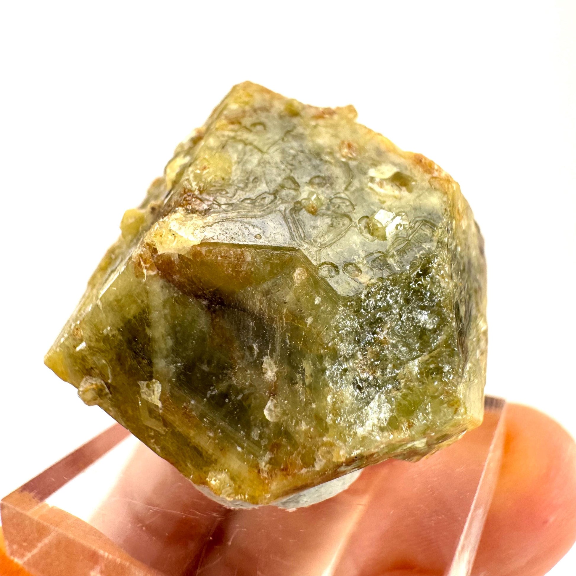 Andradite-Grossular Garnet | natural green crystal, raw mineral specimen from Mali