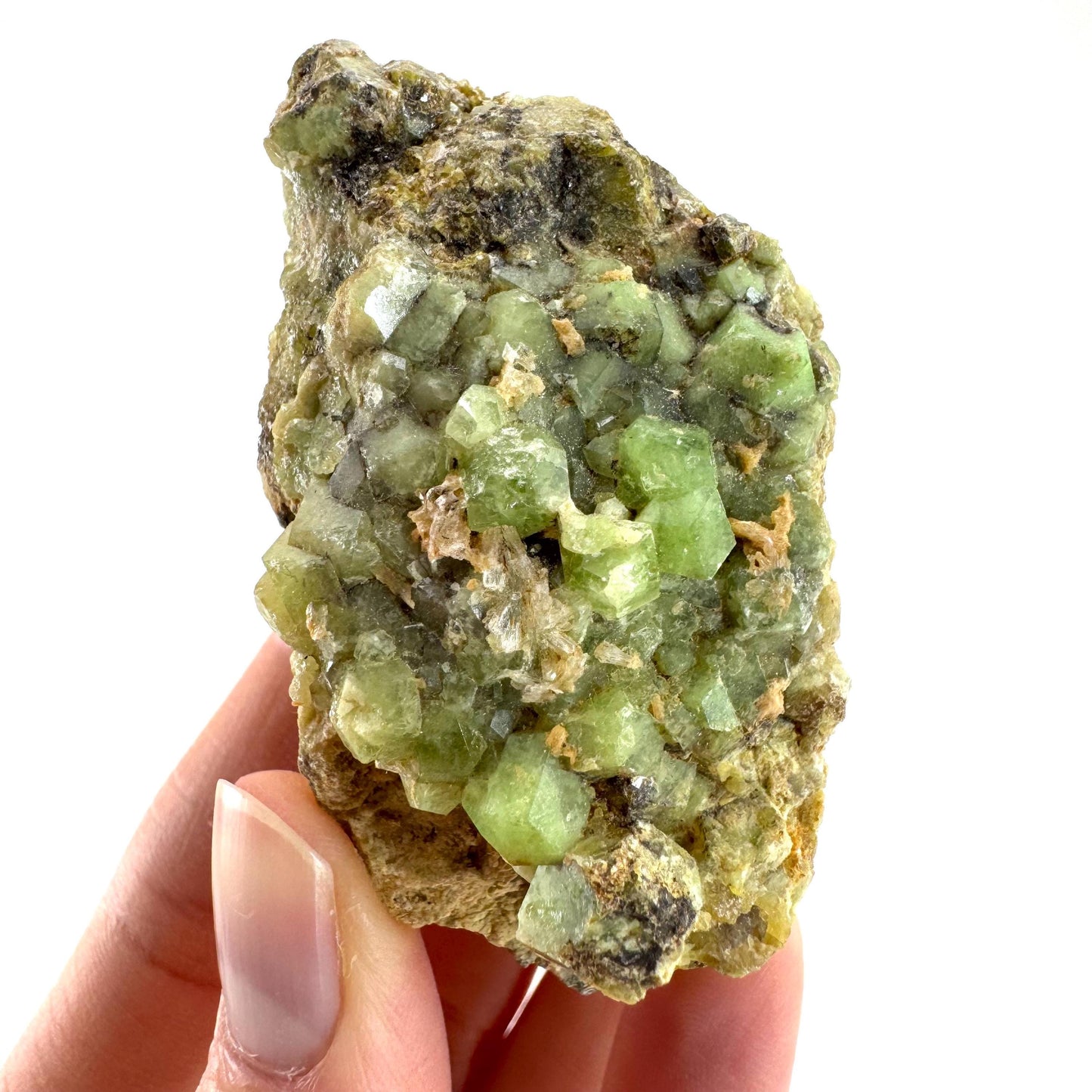 Andradite-Grossular Garnet | natural green crystal, raw mineral specimen from Mali