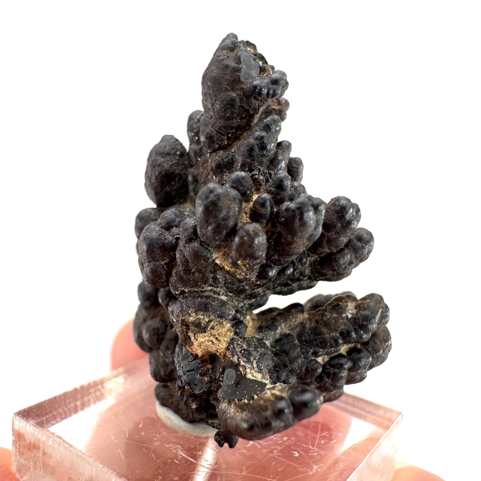 Botryoidal Goethite | natural mineral specimen, raw crystal (Namibia)