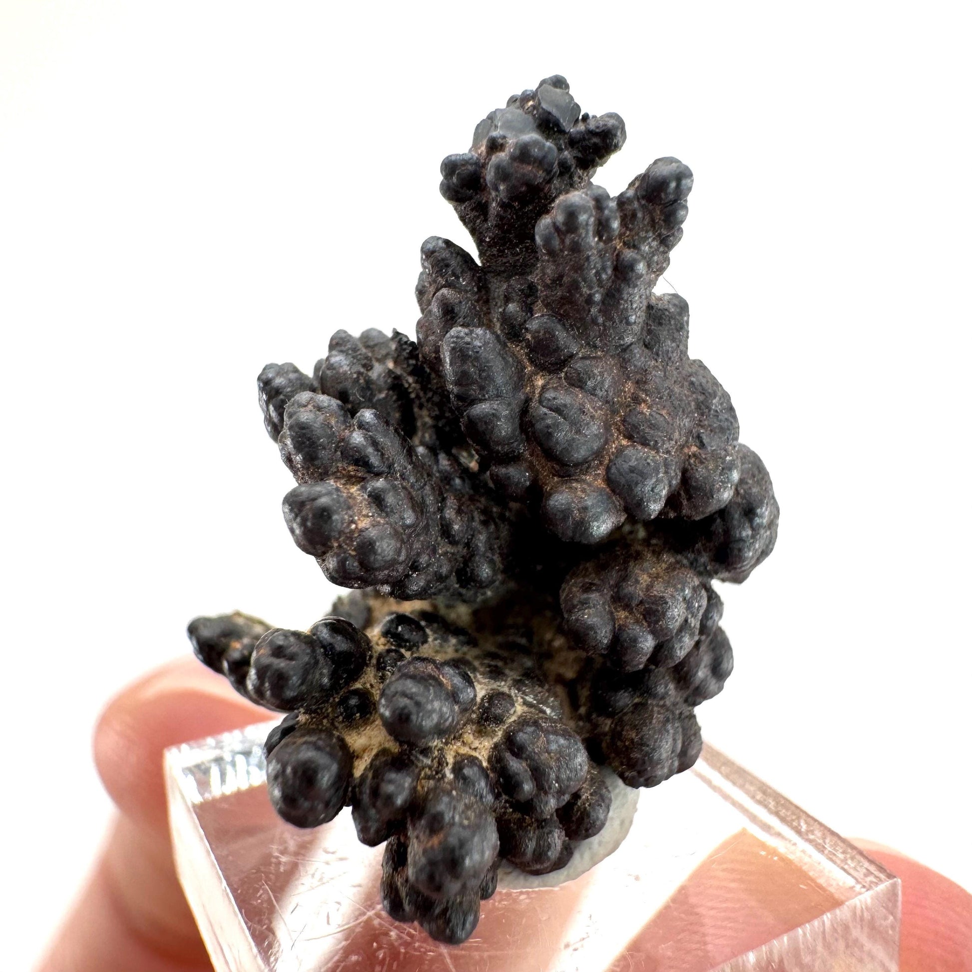 Botryoidal Goethite | natural mineral specimen, raw crystal (Namibia)