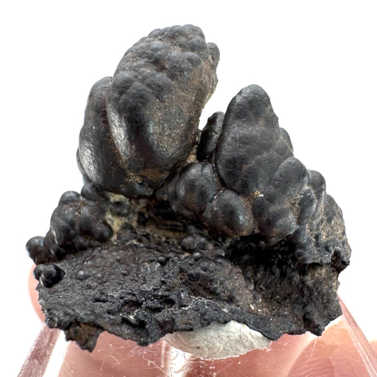 Botryoidal Goethite | natural mineral specimen, raw crystal (Namibia)
