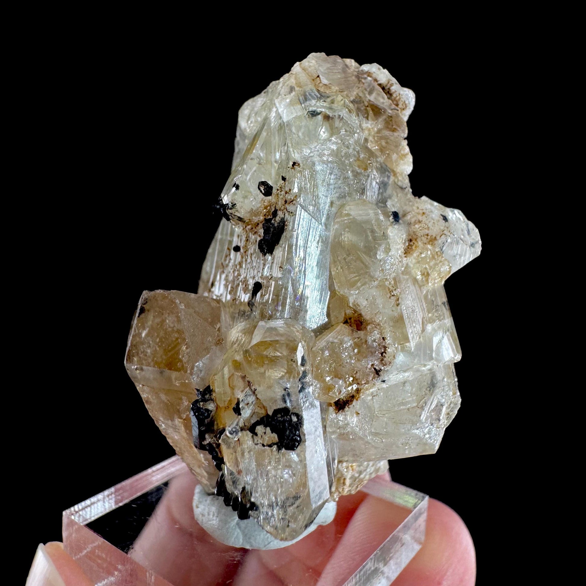 Topaz with Quartz & Black Tourmaline from Klein Spitzkoppe | natural crystal, raw mineral specimen (Namibia)