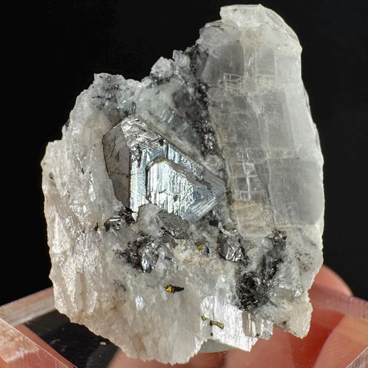 Rare! Carrollite on Calcite | raw natural crystal cluster, metallic mineral specimen