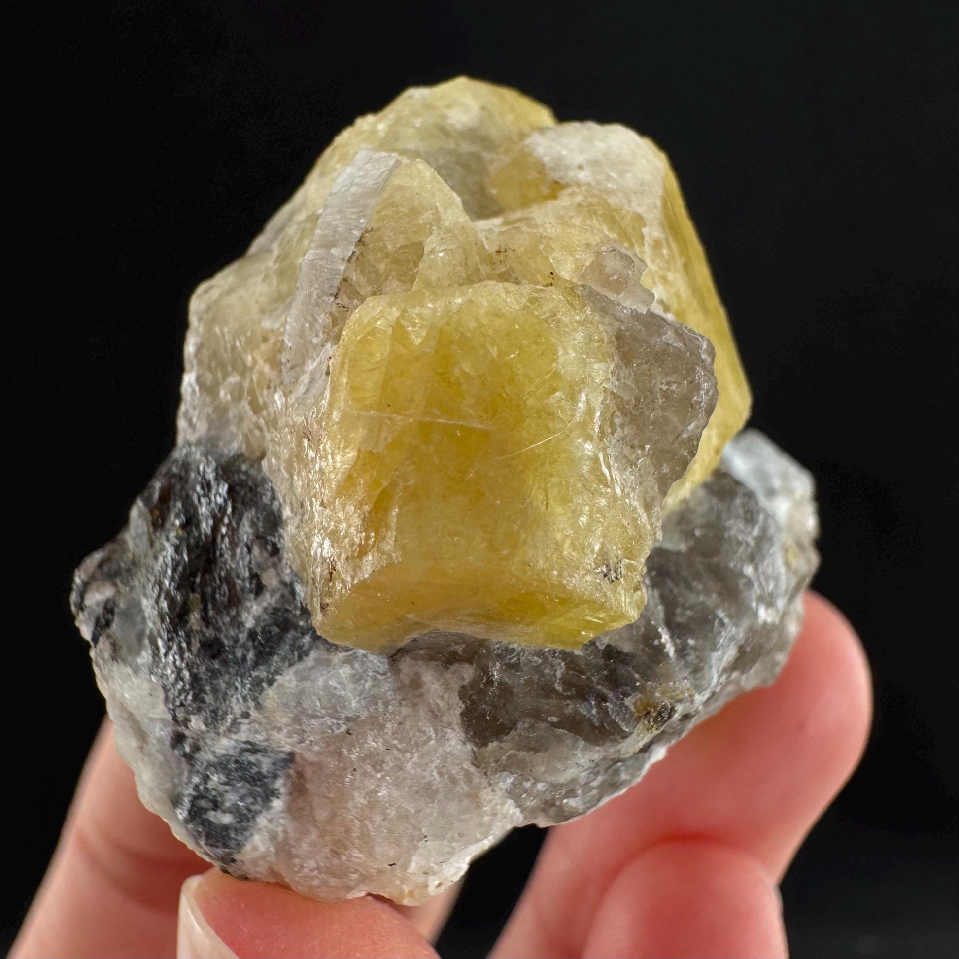 Rare! Londonite on Matrix | natural crystal cluster, raw yellow mineral (Madagascar)
