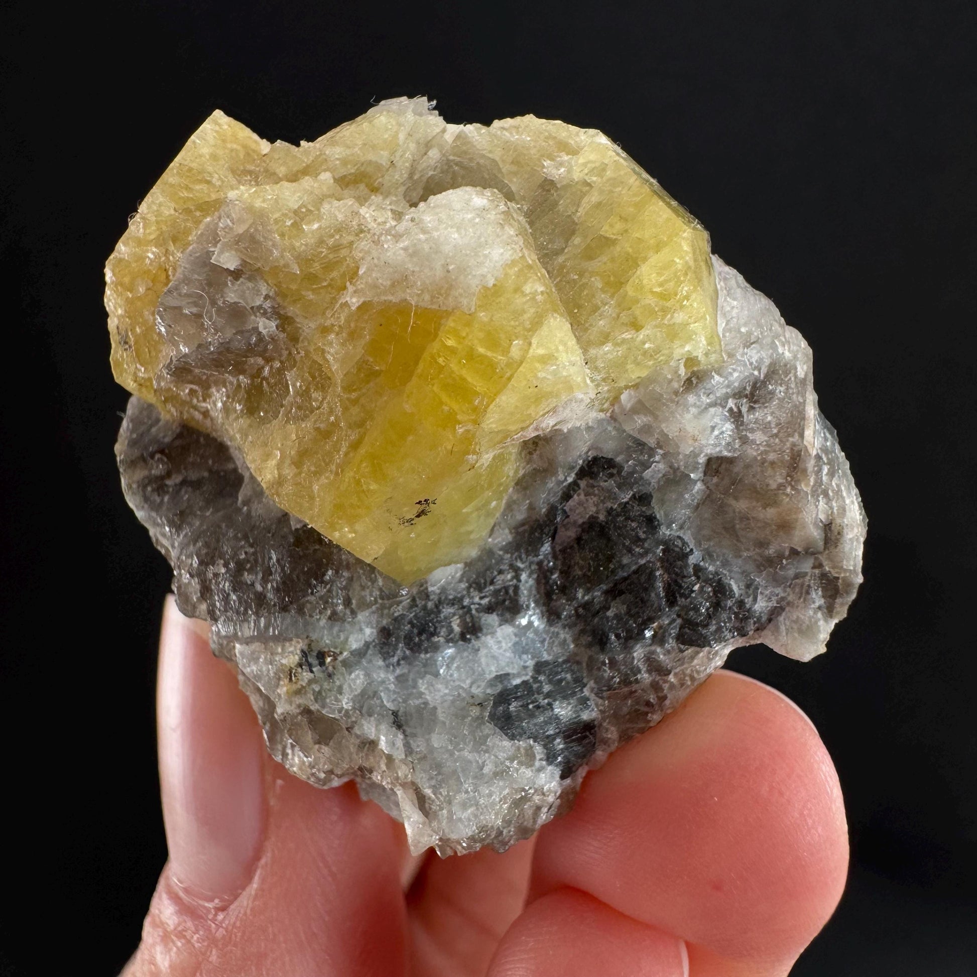 Rare! Londonite on Matrix | natural crystal cluster, raw yellow mineral (Madagascar)