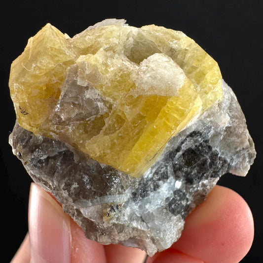 Rare! Londonite on Matrix | natural crystal cluster, raw yellow mineral (Madagascar)