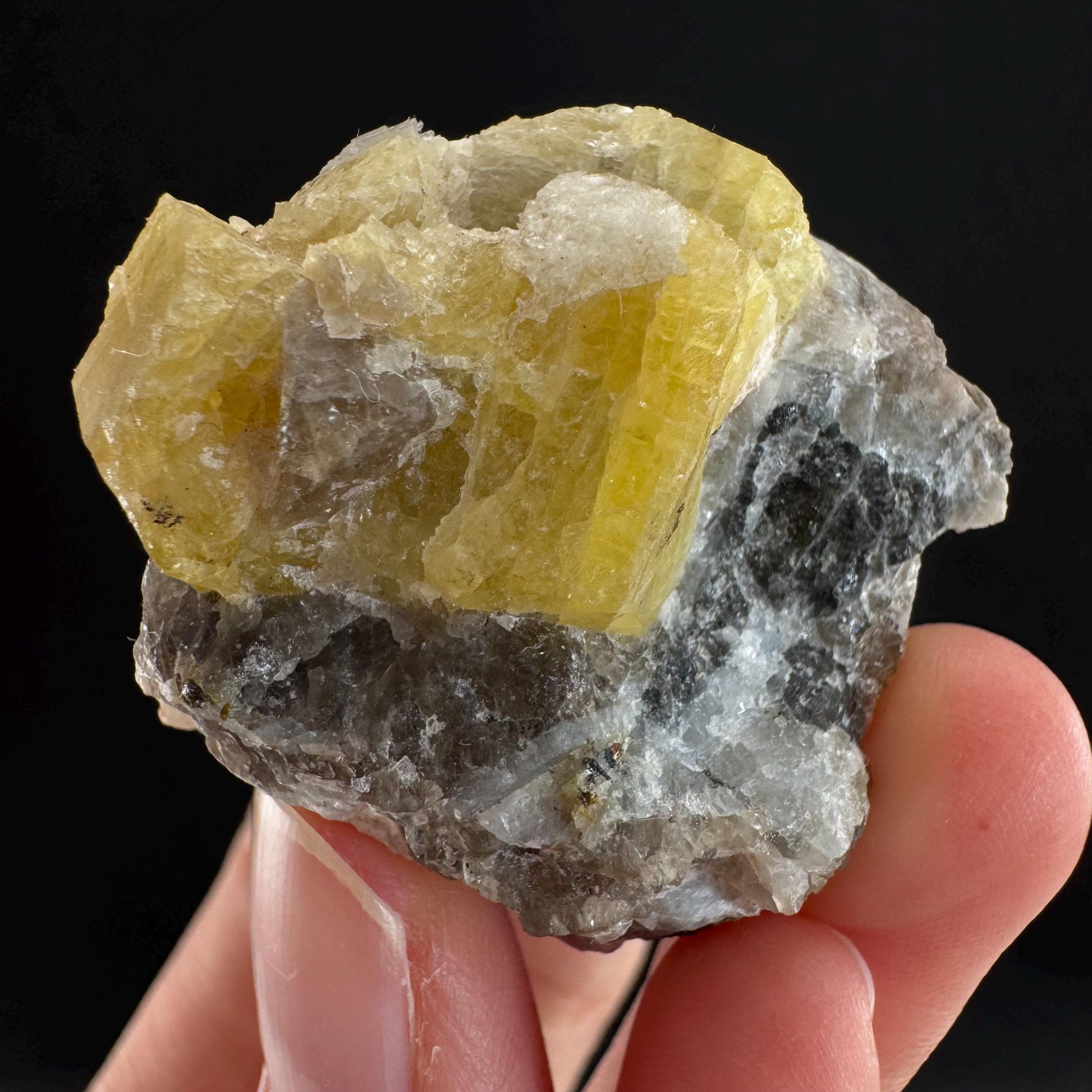 Rare! Londonite on Matrix | natural crystal cluster, raw yellow mineral (Madagascar)