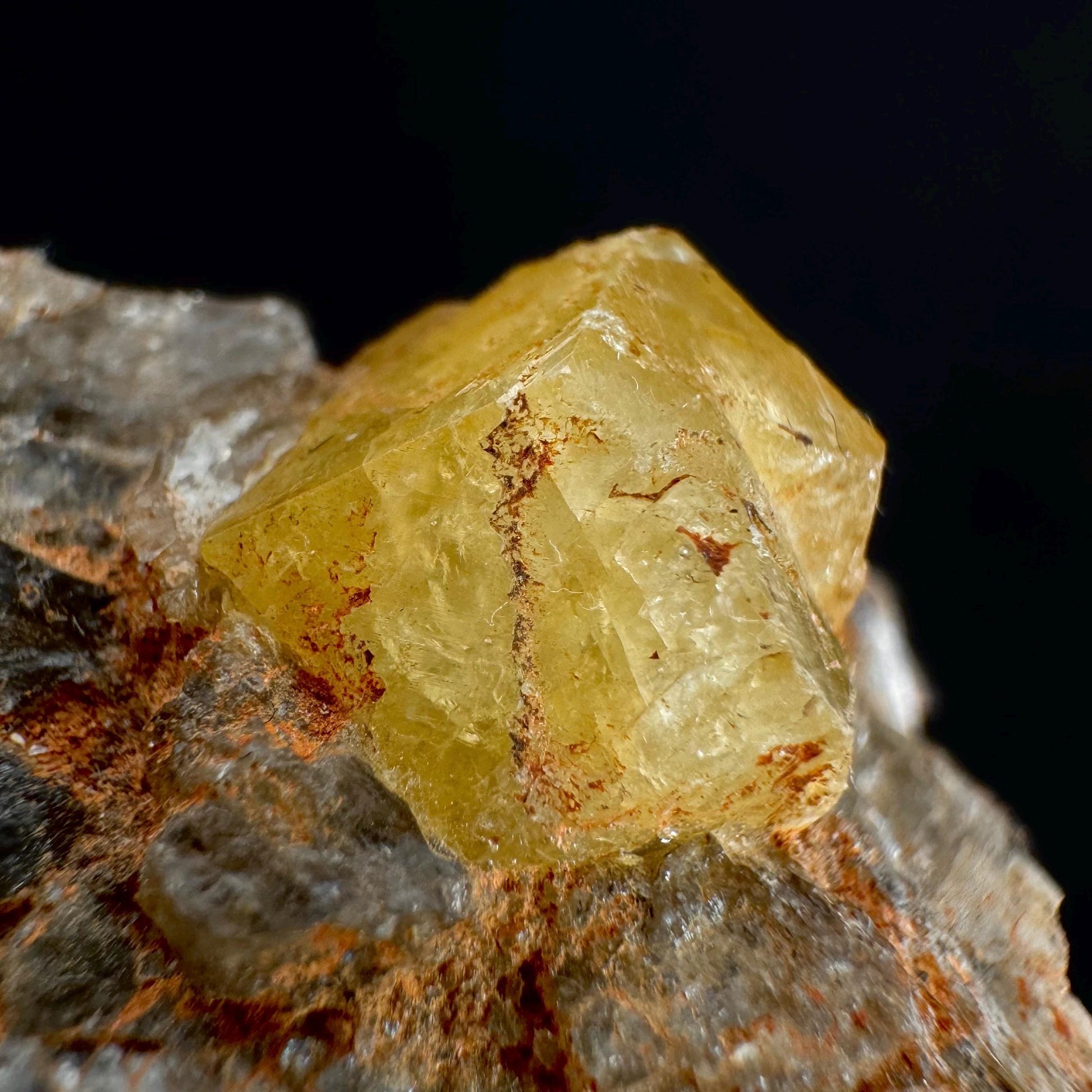 Rare! Londonite on Matrix | natural crystal cluster, raw yellow mineral (Madagascar)