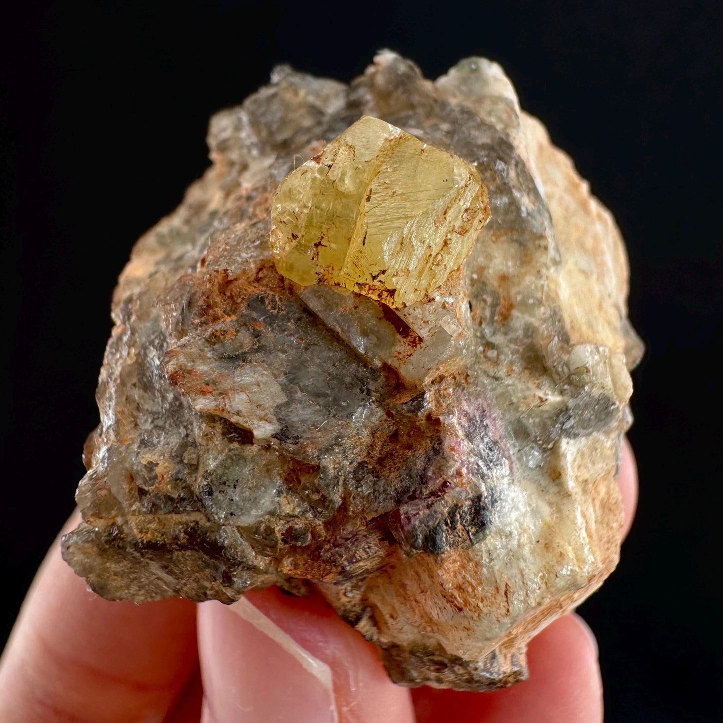 Rare! Londonite on Matrix | natural crystal cluster, raw yellow mineral (Madagascar)