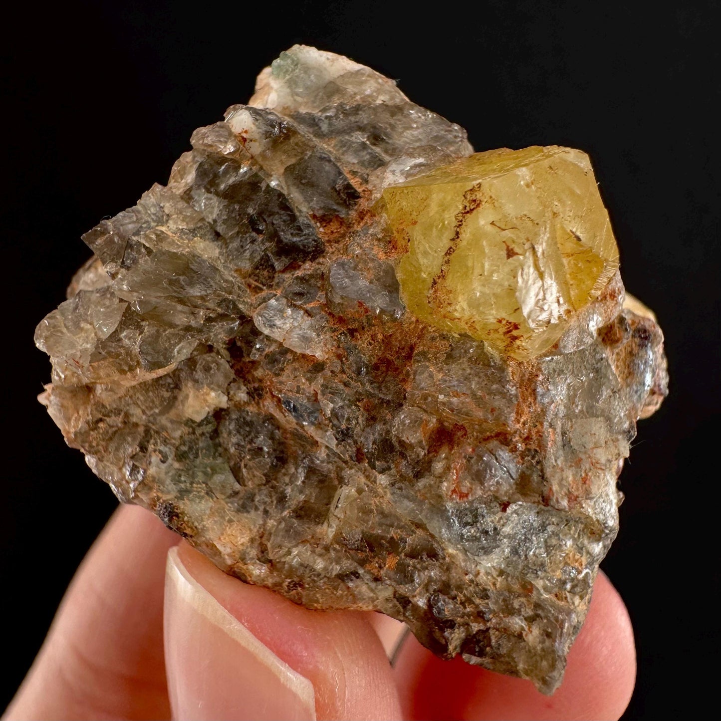 Rare! Londonite on Matrix | natural crystal cluster, raw yellow mineral (Madagascar)