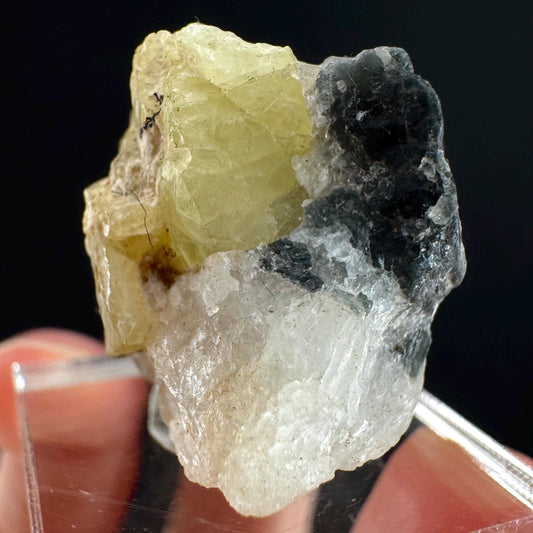Rare! Londonite on Matrix | natural crystal cluster, raw yellow mineral (Madagascar)