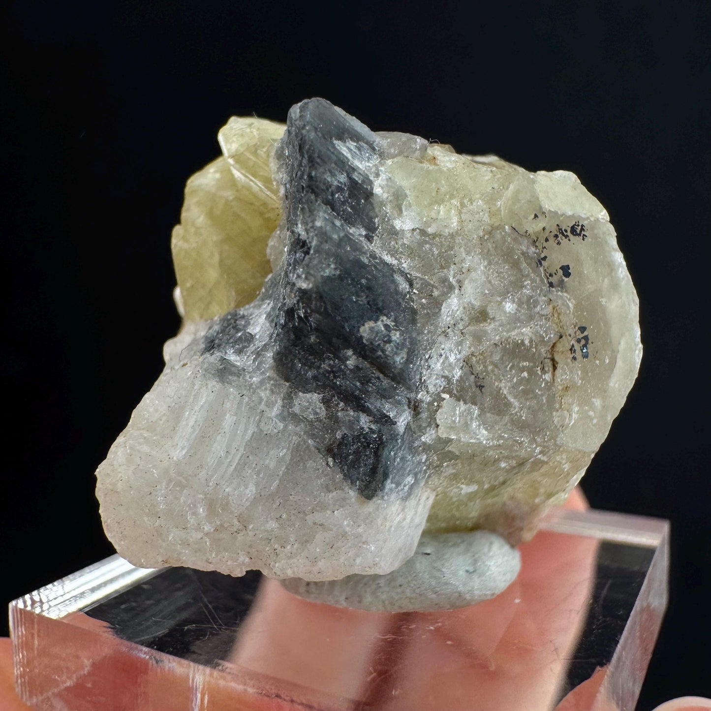 Rare! Londonite on Matrix | natural crystal cluster, raw yellow mineral (Madagascar)