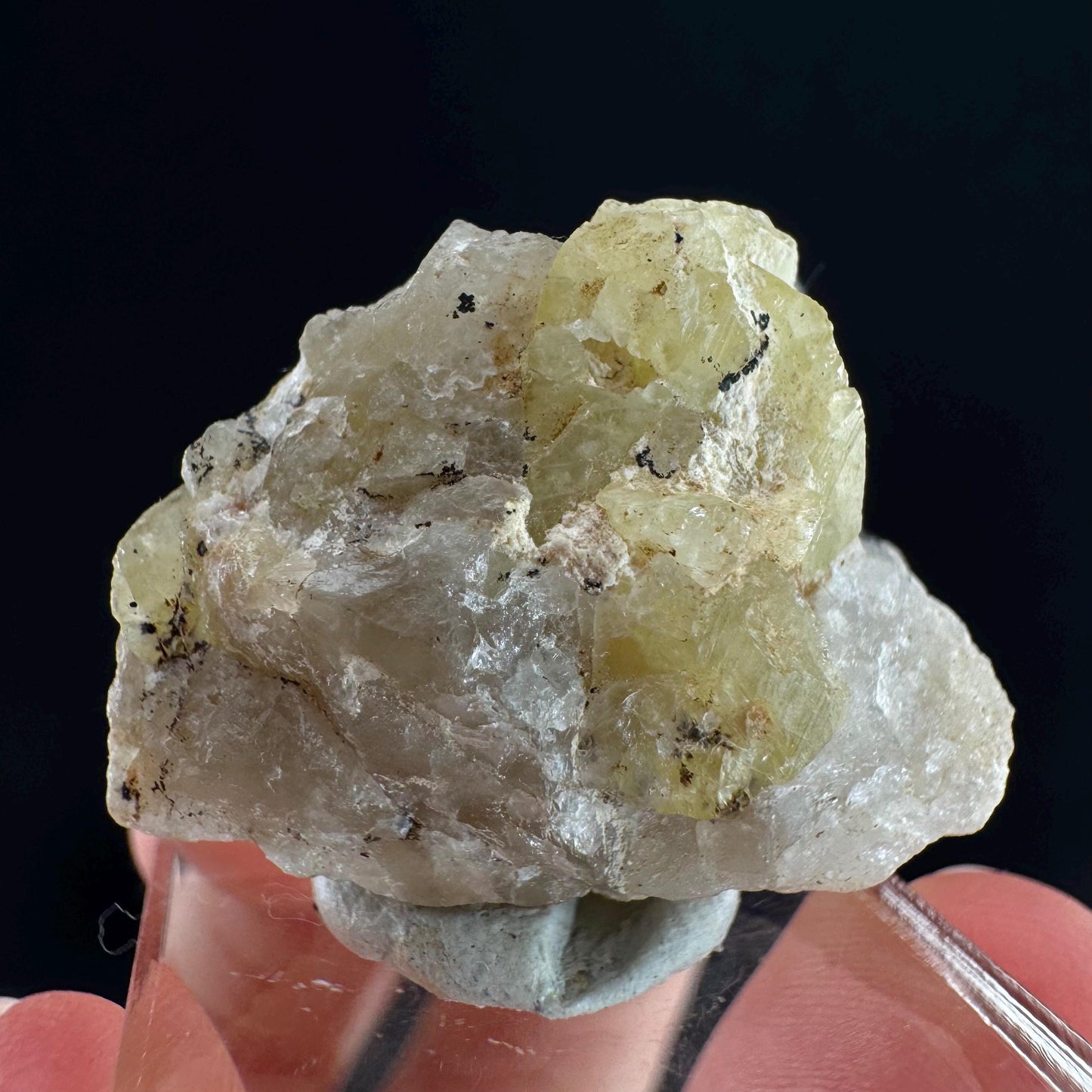 Rare! Londonite on Matrix | natural crystal cluster, raw yellow mineral (Madagascar)