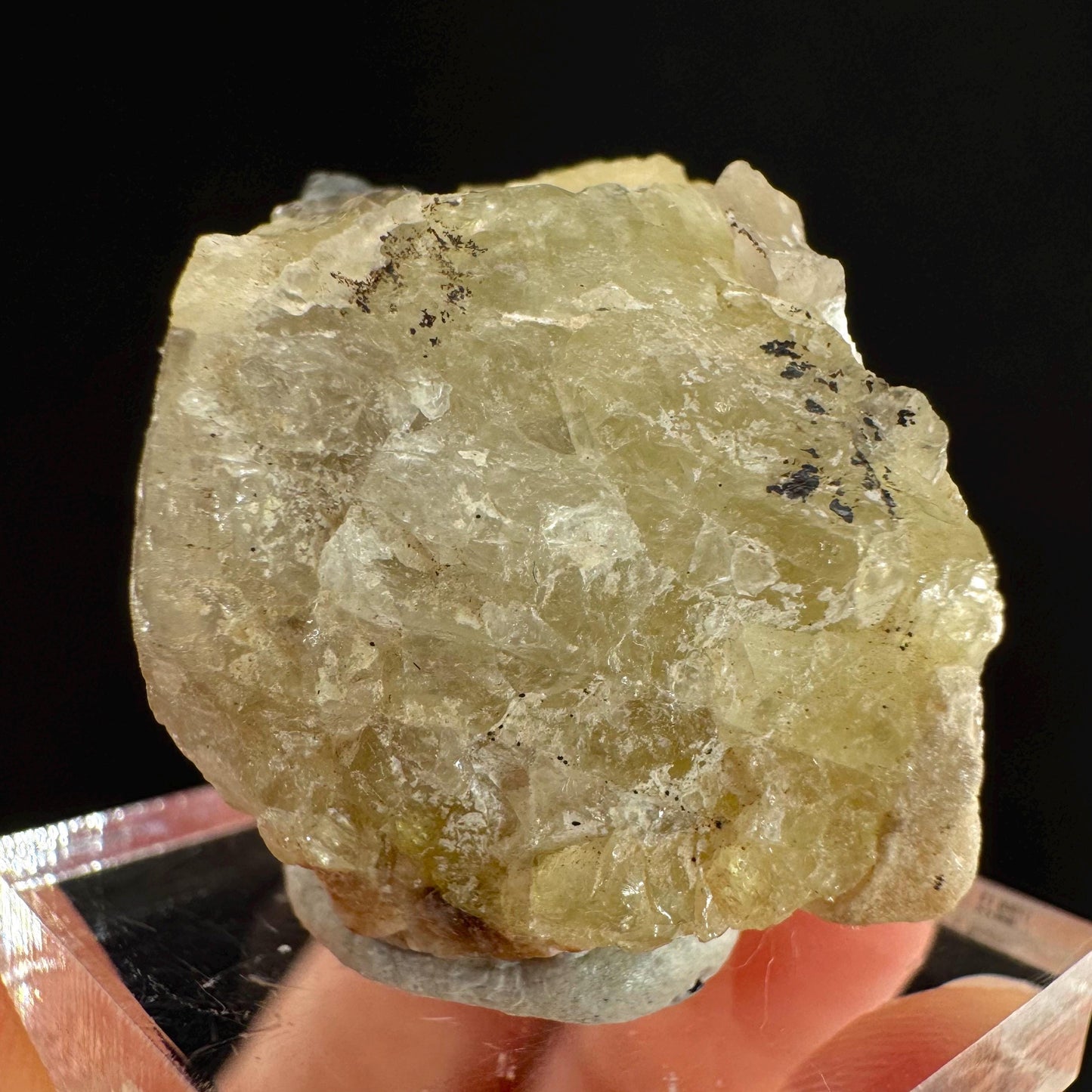Rare! Londonite on Matrix | natural crystal cluster, raw yellow mineral (Madagascar)