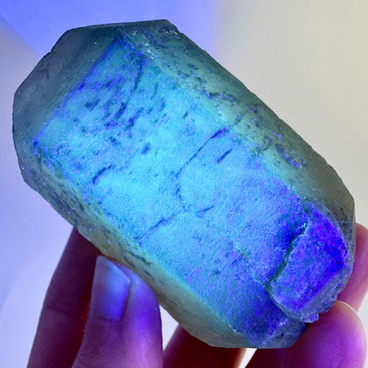 Hanksite | UV reactive crystal, rare mineral specimen from California, USA