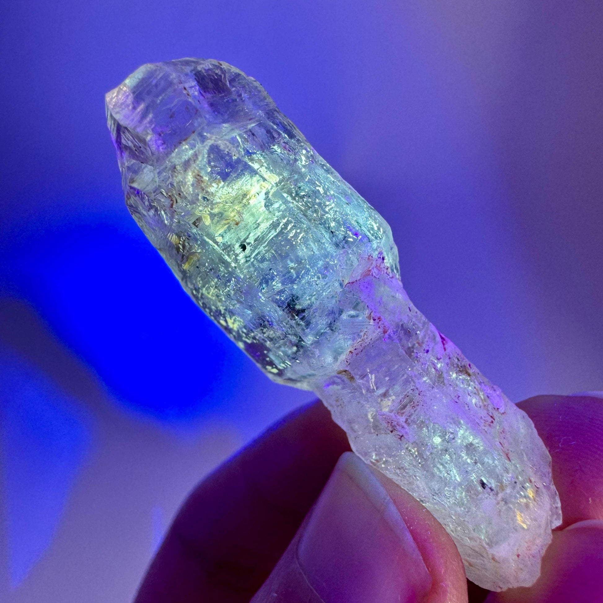 Firefly Petroleum Quartz Sceptre | UV reactive crystal, fluorescent mineral from Madagascar