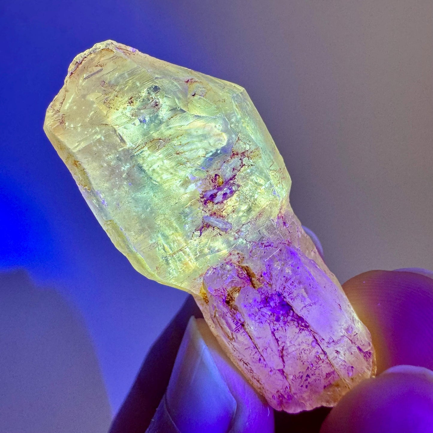 Firefly Petroleum Quartz Sceptre | UV reactive crystal, fluorescent mineral from Madagascar