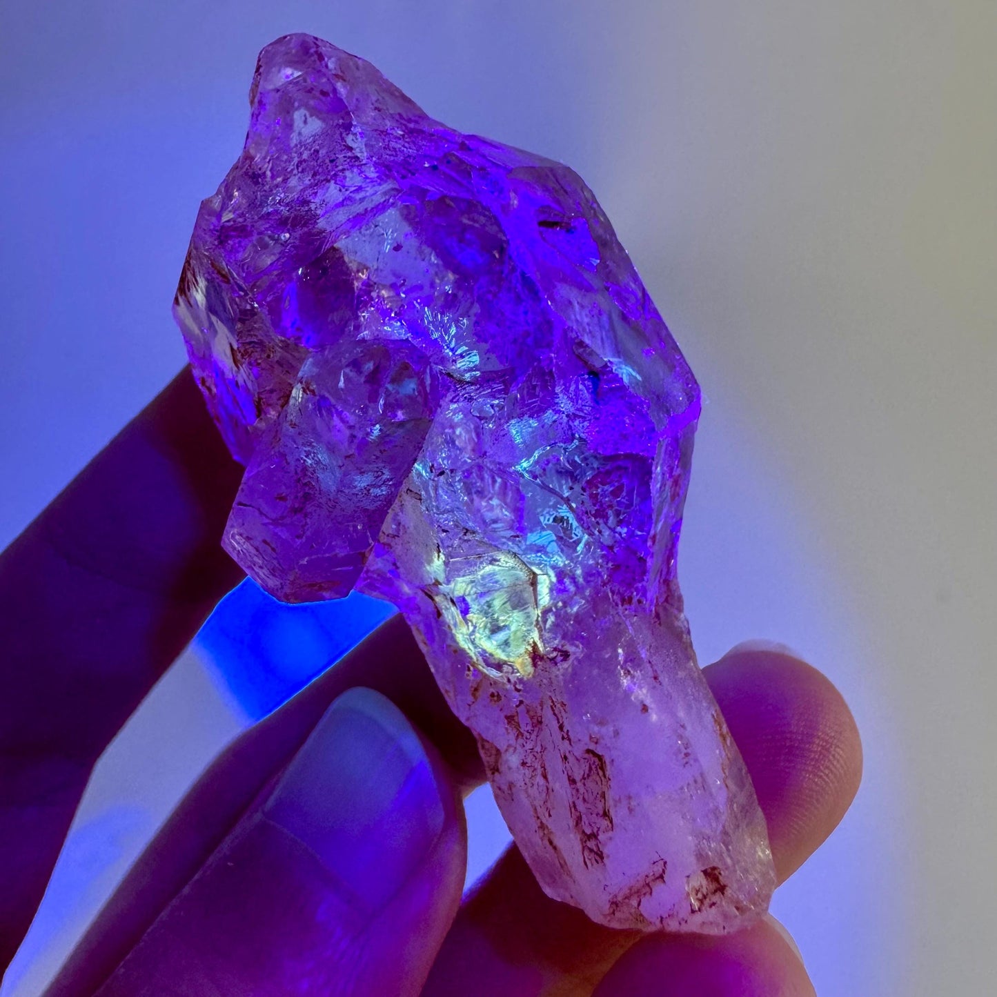 Firefly Petroleum Quartz Sceptre | UV reactive crystal, fluorescent mineral from Madagascar