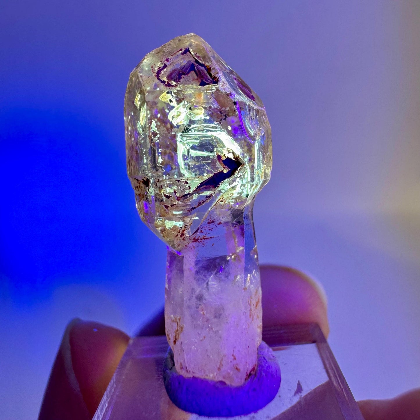 Firefly Petroleum Quartz Sceptre | UV reactive crystal, fluorescent mineral from Madagascar